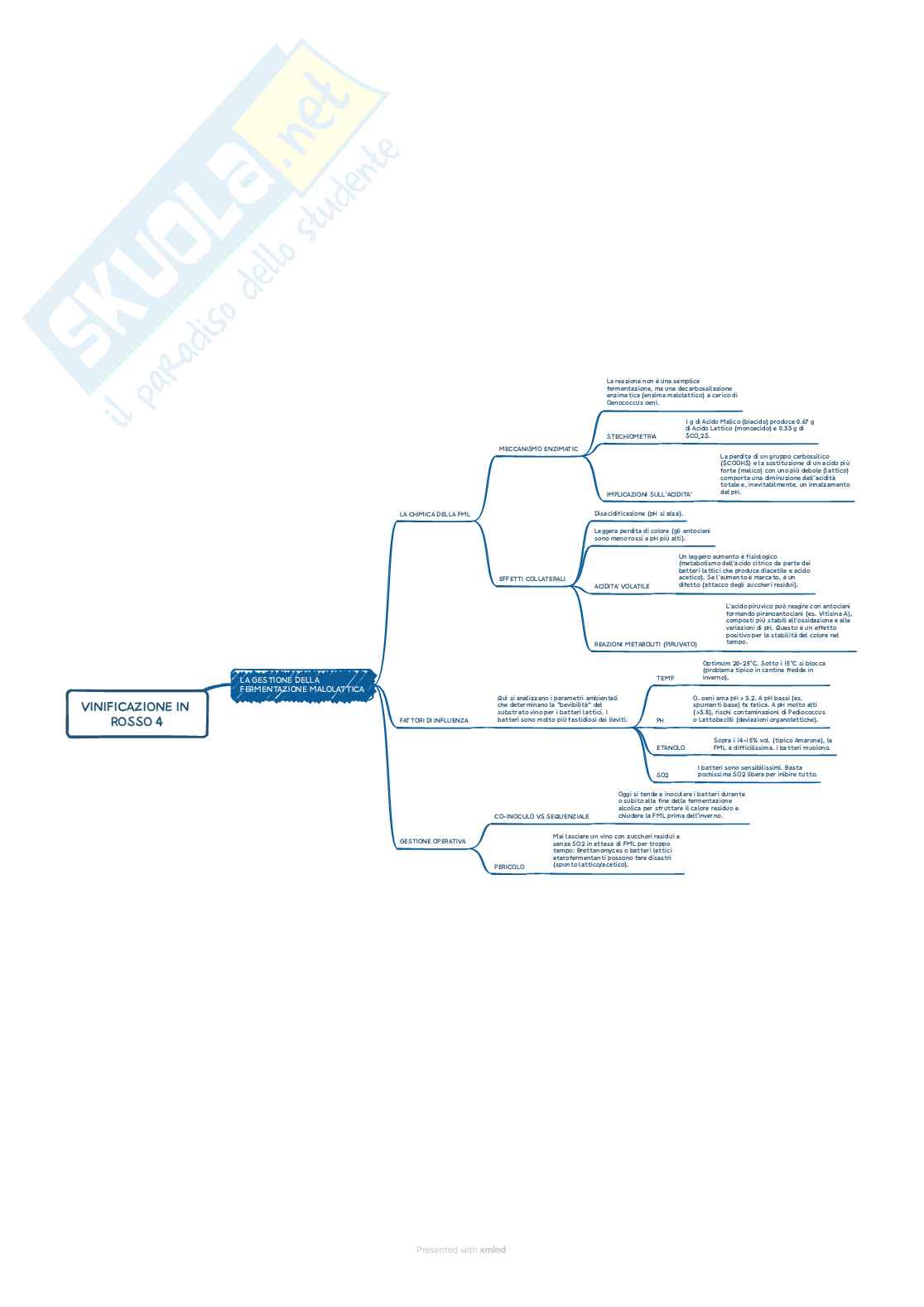 Enologia 2 - Mappe concettuali complete Pag. 16