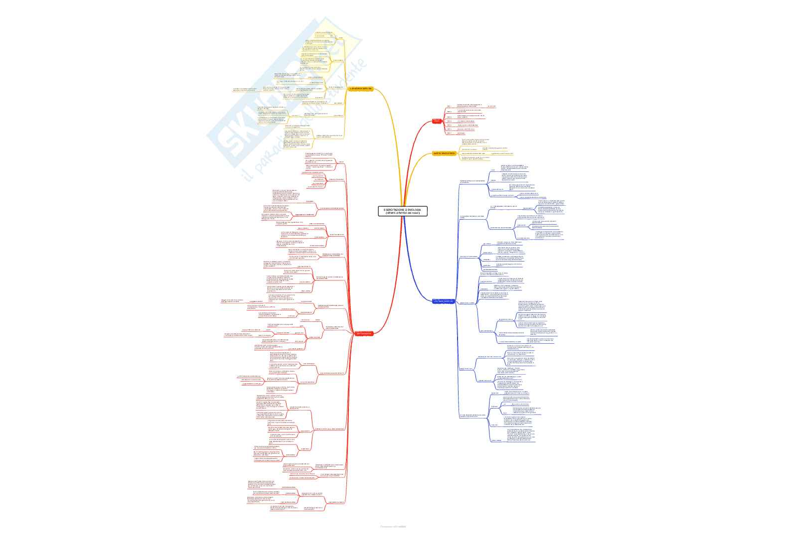 Enologia 2 - Mappe concettuali complete Pag. 26