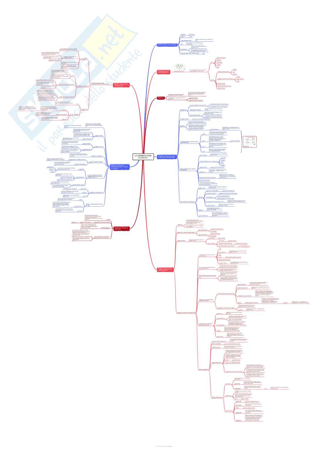 Enologia 2 - Mappe concettuali complete Pag. 6