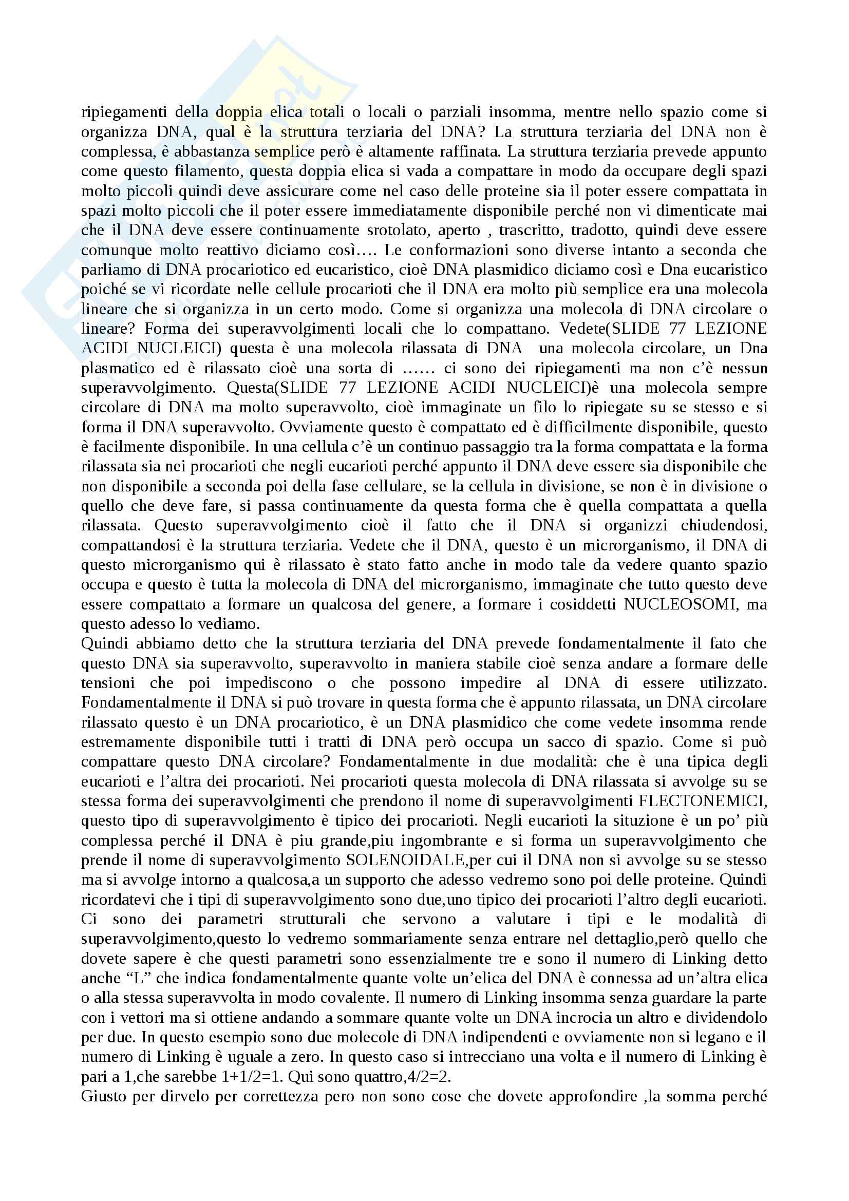 Biochimica - Appunti Pag. 11