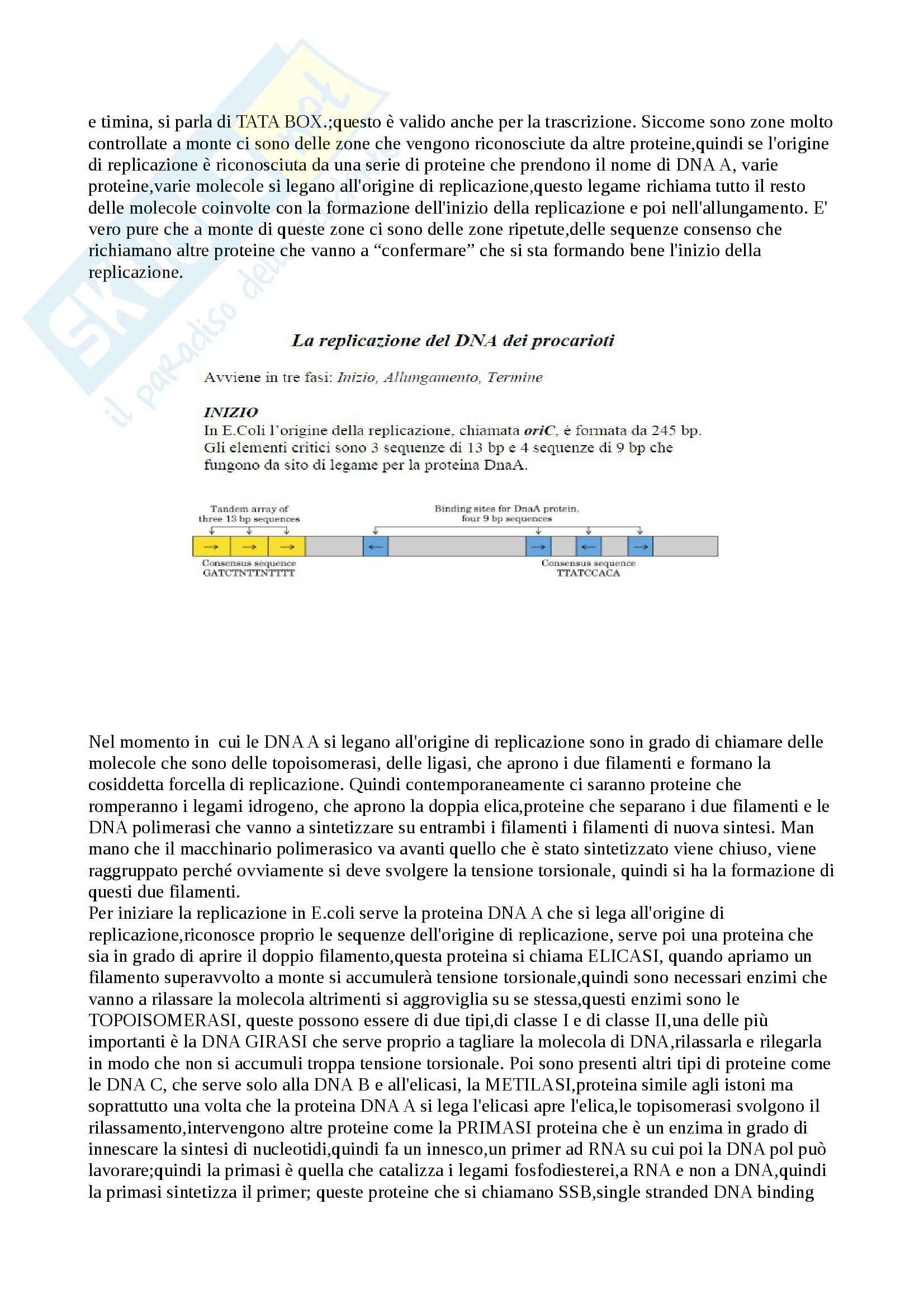 Biochimica - Appunti Pag. 31
