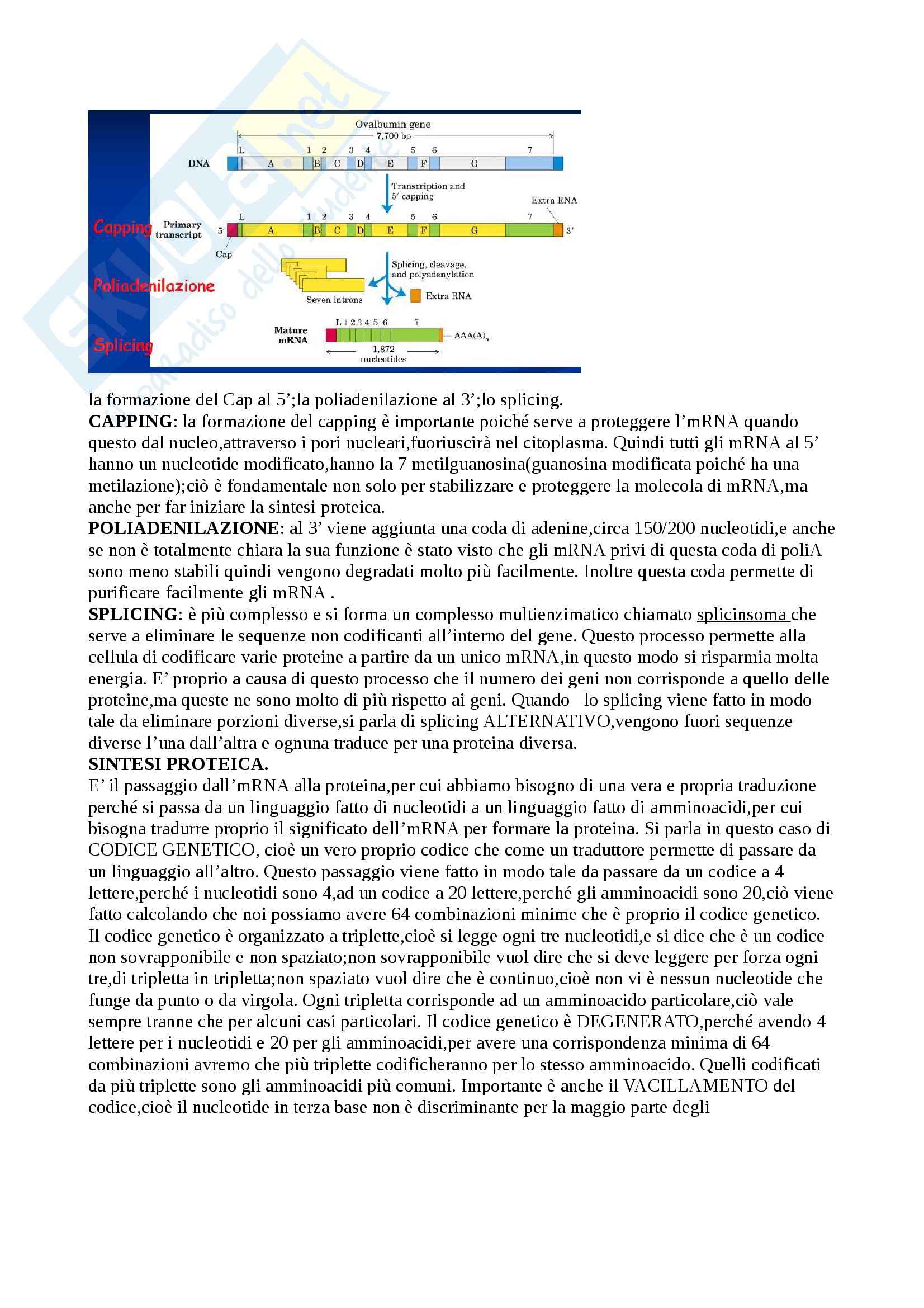 Biochimica - Appunti Pag. 46