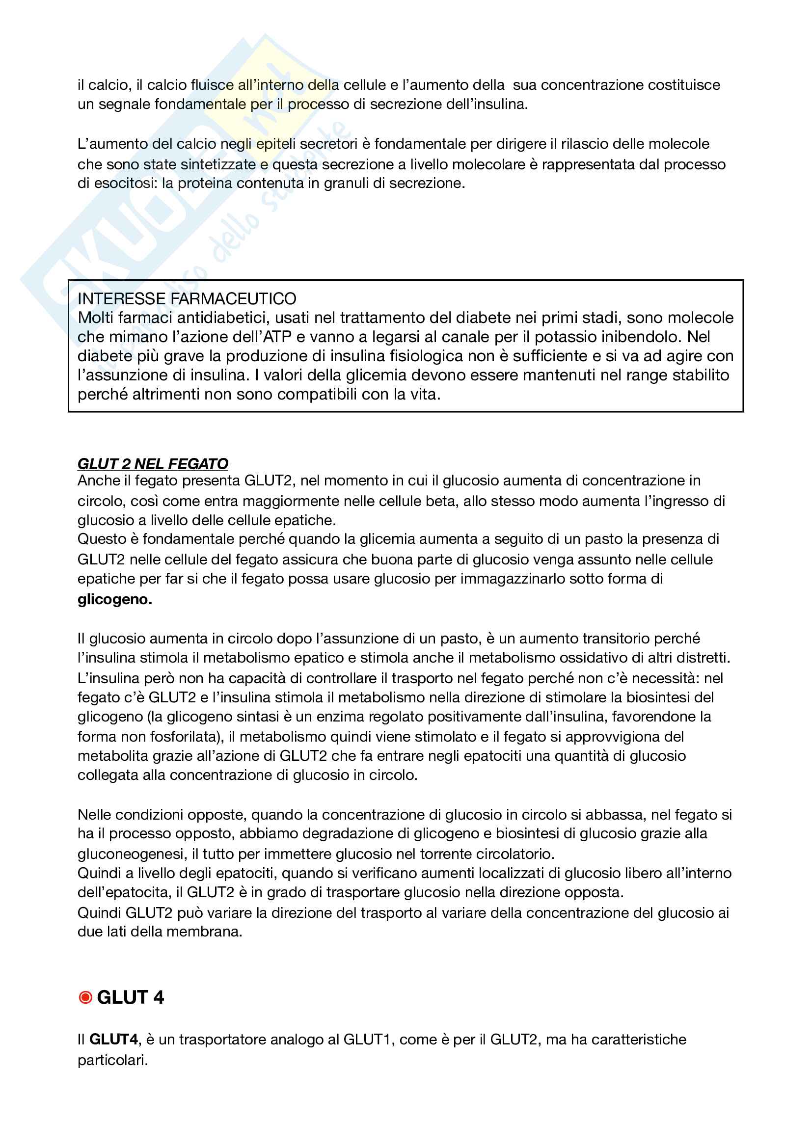 Biochimica Pag. 36