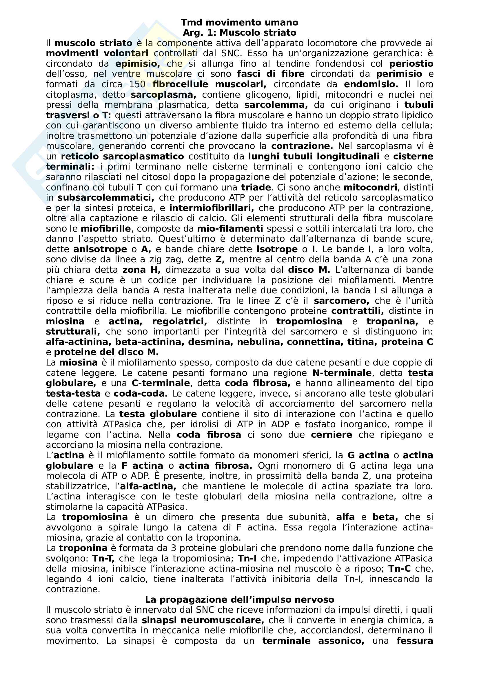 MUOVERSI PER NON SUBIRE IL TEMPO TEORIA METODOLOGIA E DIDATTICA DELLATTIVIT MOTORIA PER LA TERZA ET PDF visual data 4