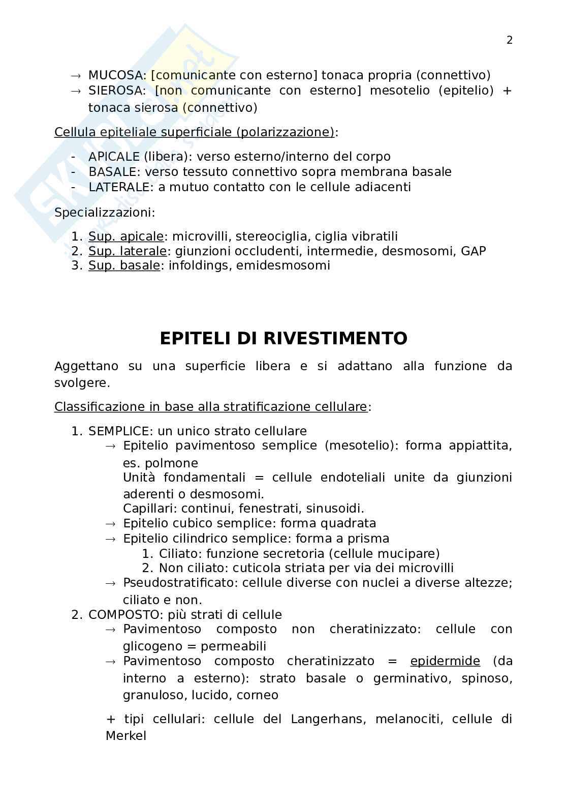 Istologia Pag. 2