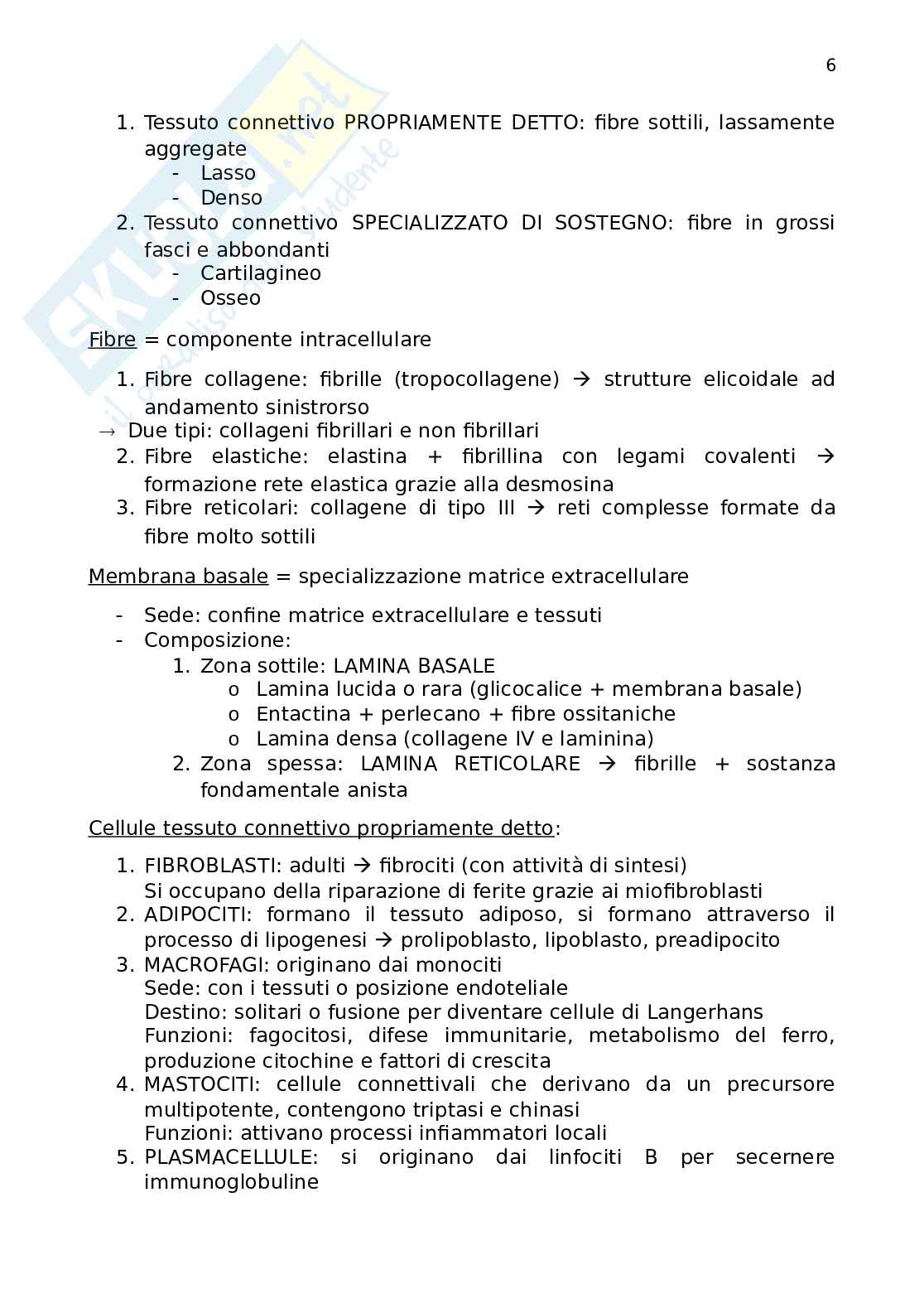 Istologia Pag. 6