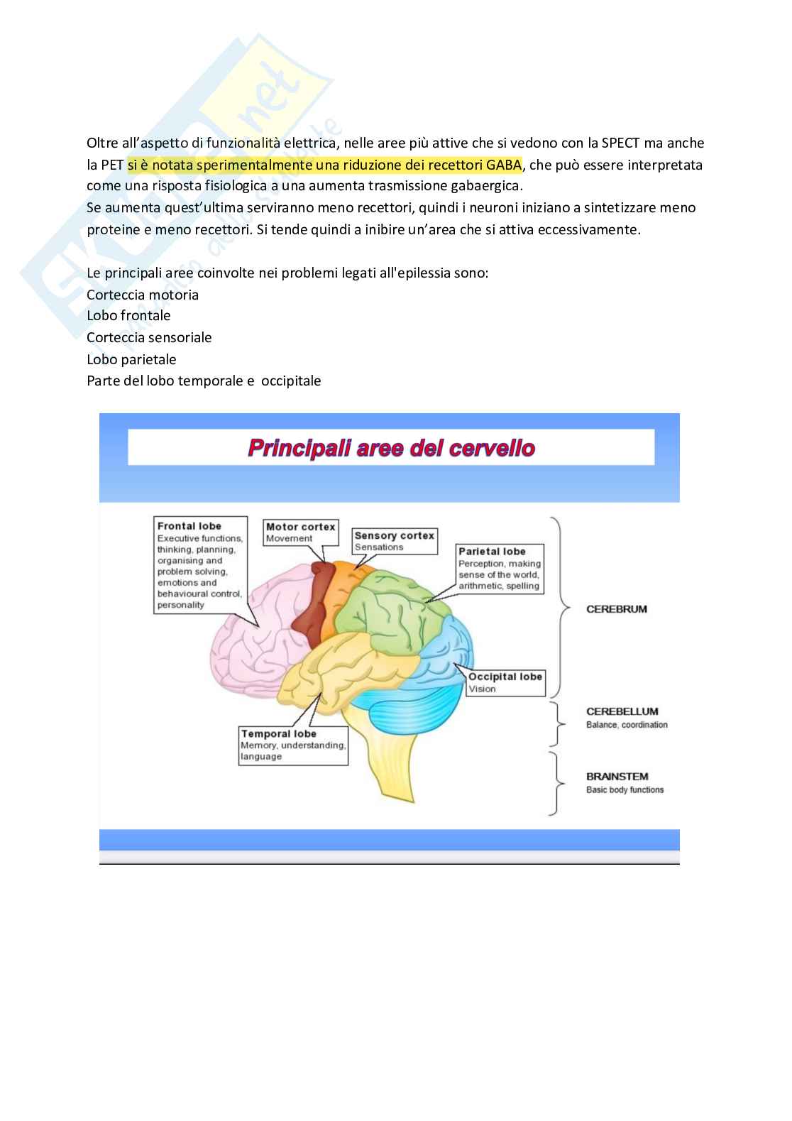 Esame di Farmacoterapia 1 - parte 2 Pag. 2