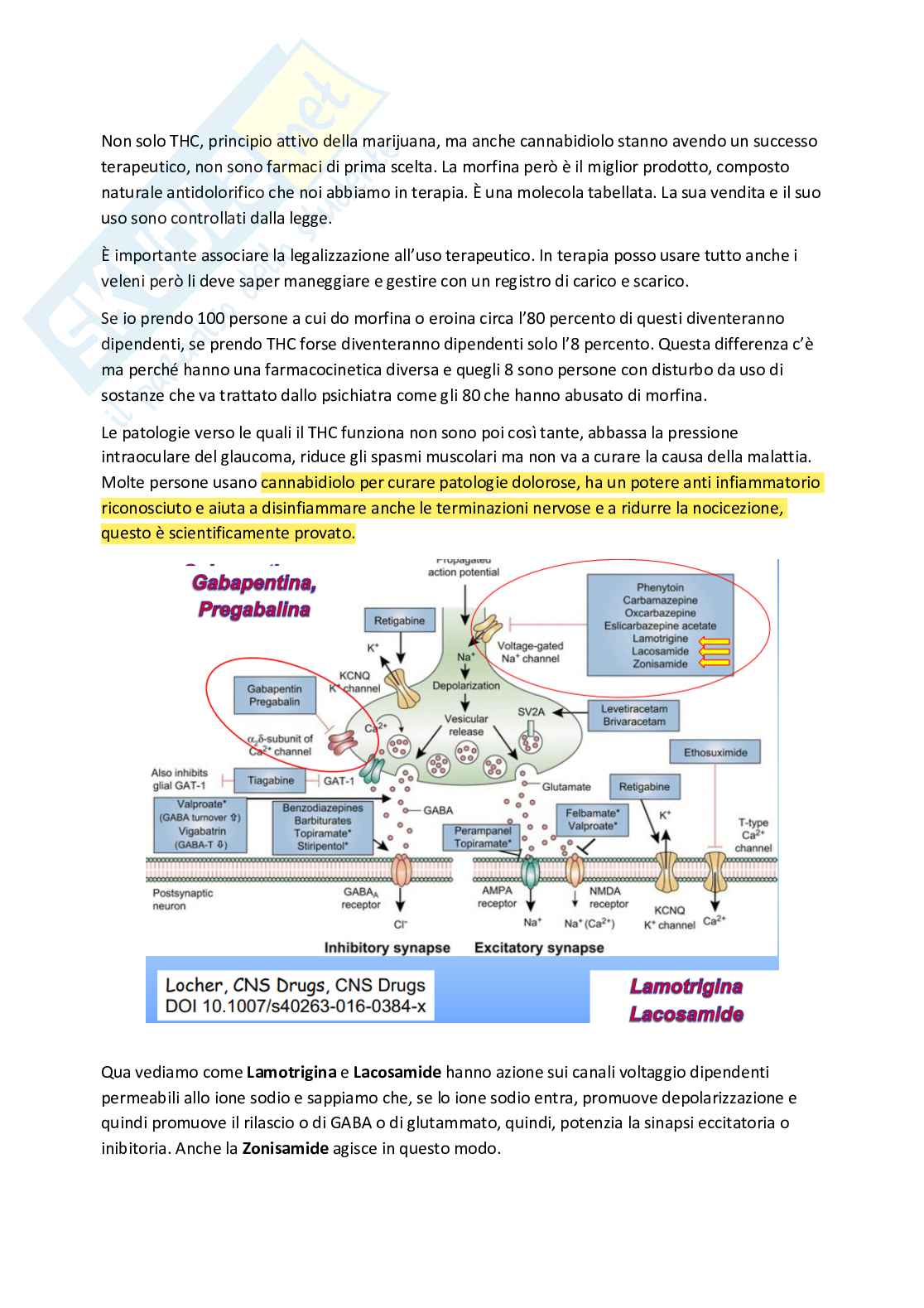 Esame di Farmacoterapia 1 - parte 2 Pag. 26