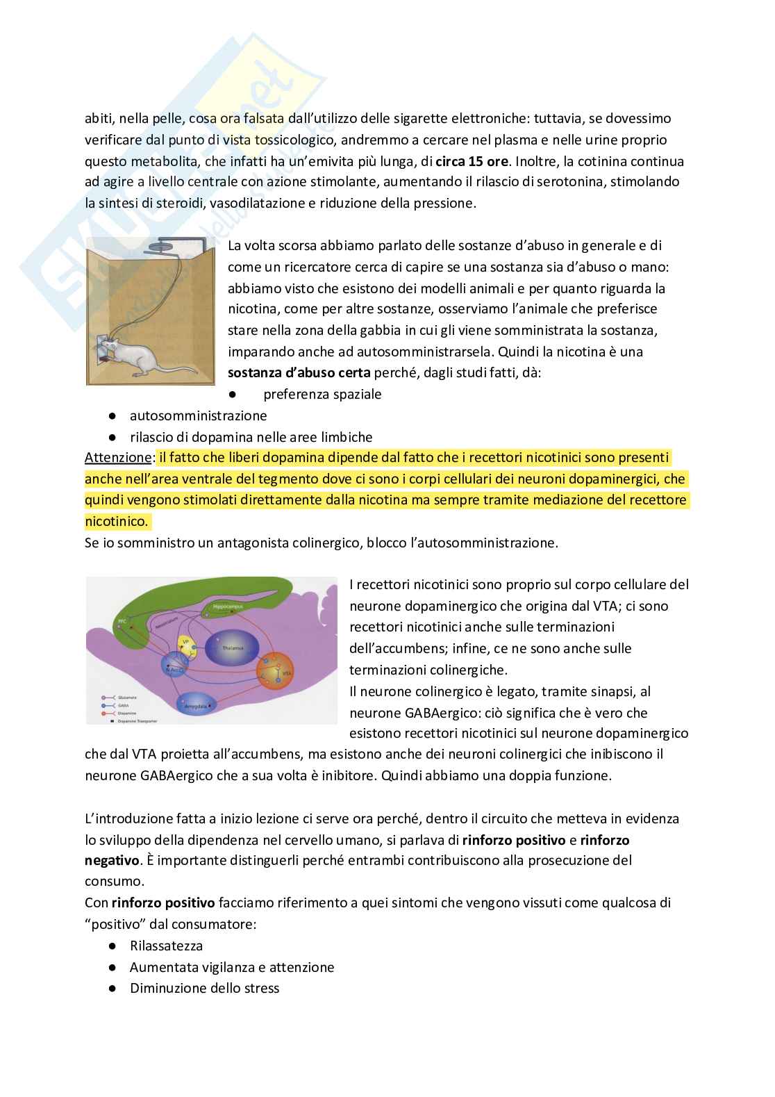 Esame di Farmacoterapia 1 - parte 2 Pag. 51