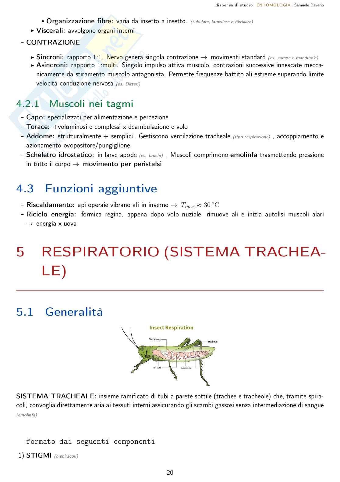 Entomologia agraria - corso completo Pag. 21