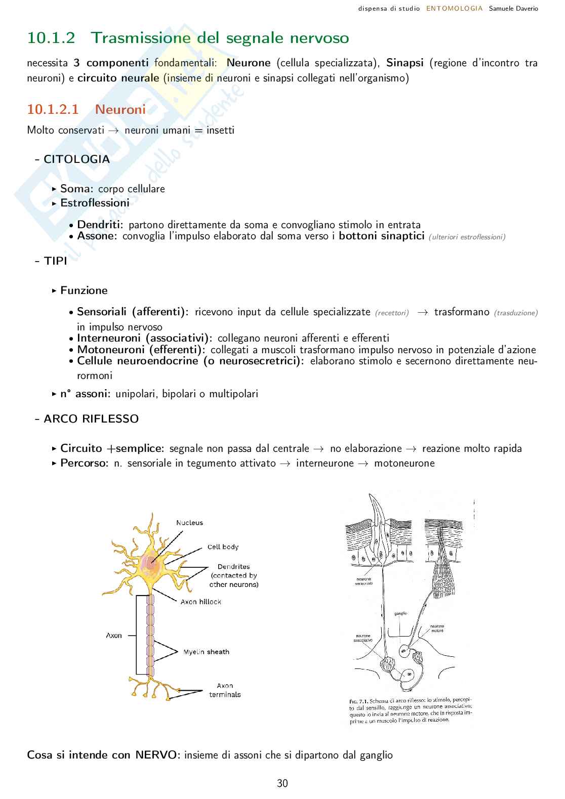 Entomologia agraria - corso completo Pag. 31