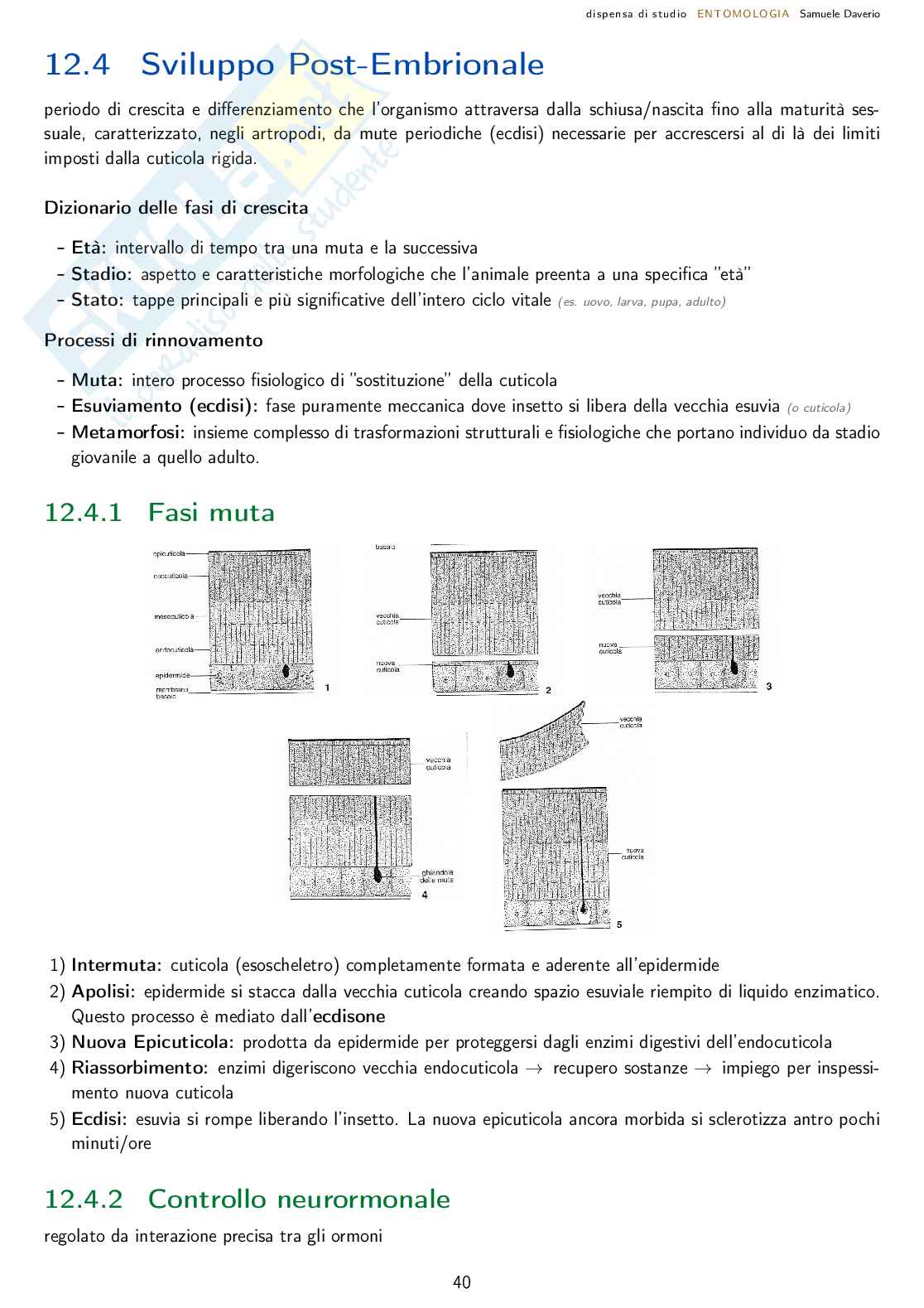 Entomologia agraria - corso completo Pag. 41