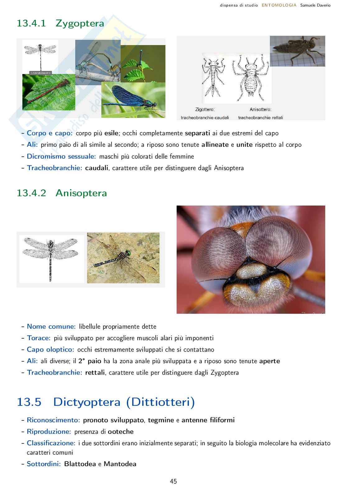 Entomologia agraria - corso completo Pag. 46