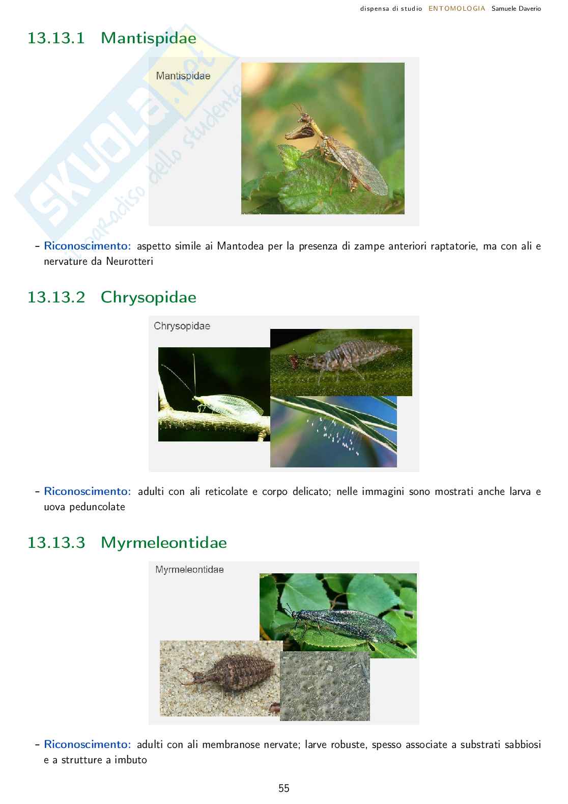 Entomologia agraria - corso completo Pag. 56