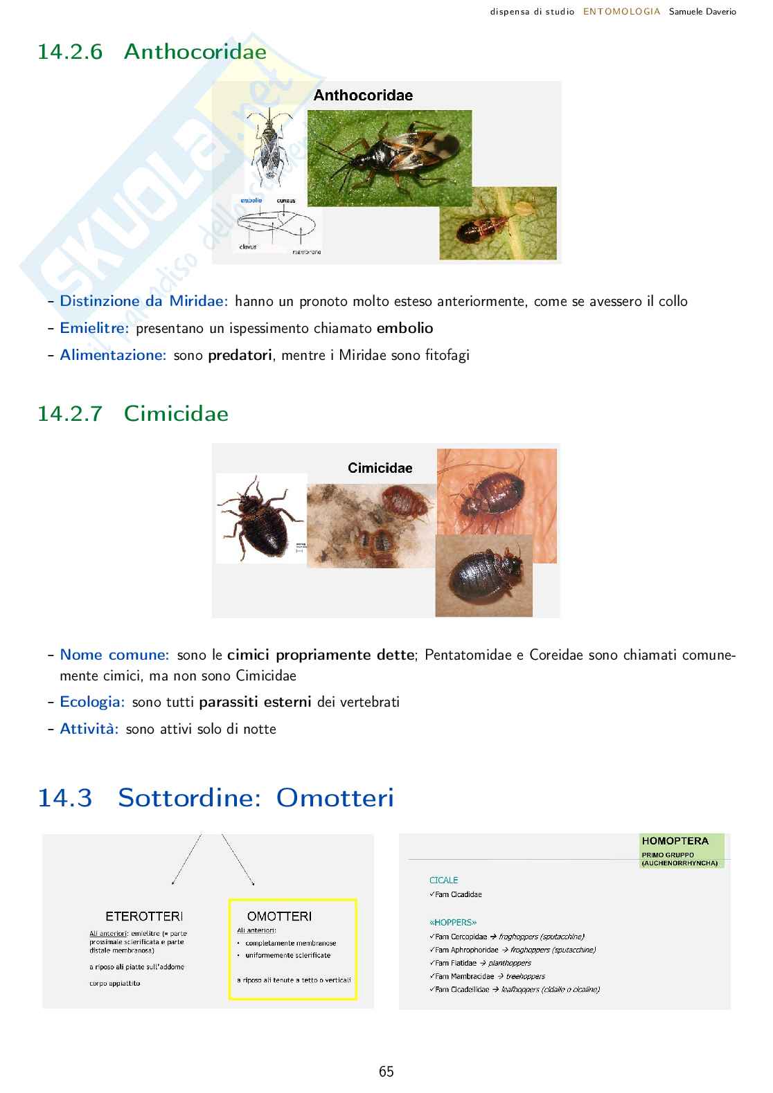 Entomologia agraria - corso completo Pag. 66