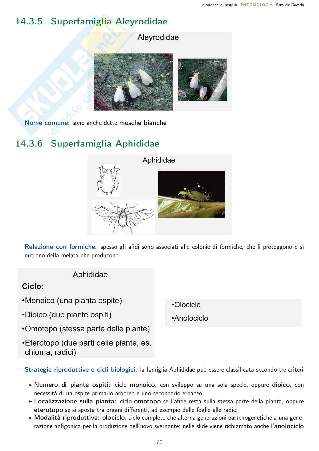 Entomologia agraria - corso completo Pag. 71