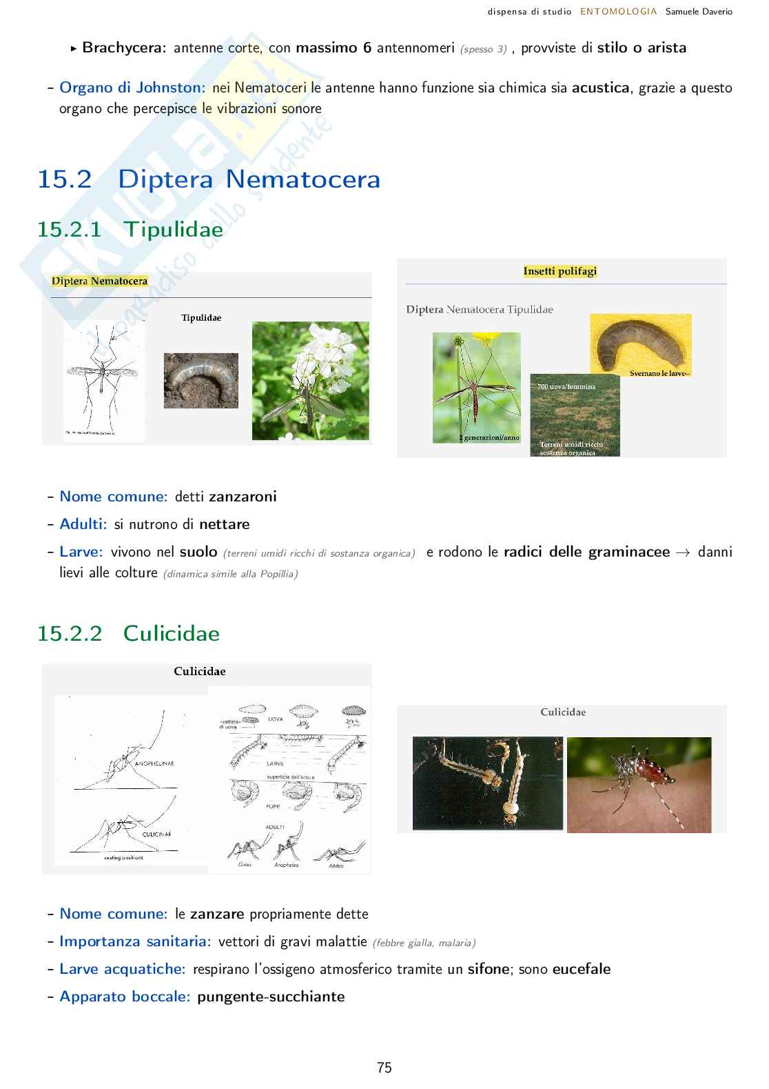 Entomologia agraria - corso completo Pag. 76
