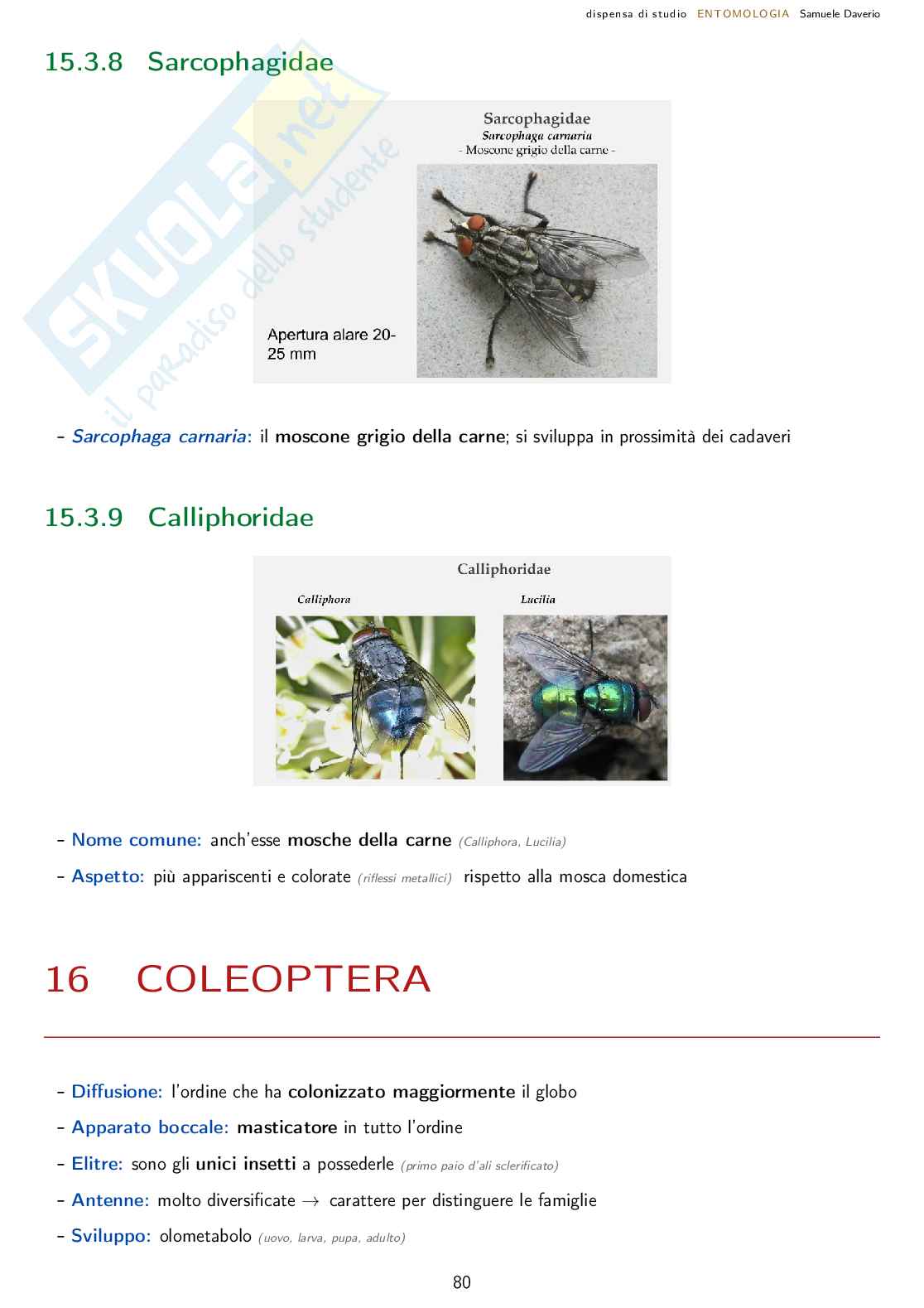 Entomologia agraria - corso completo Pag. 81