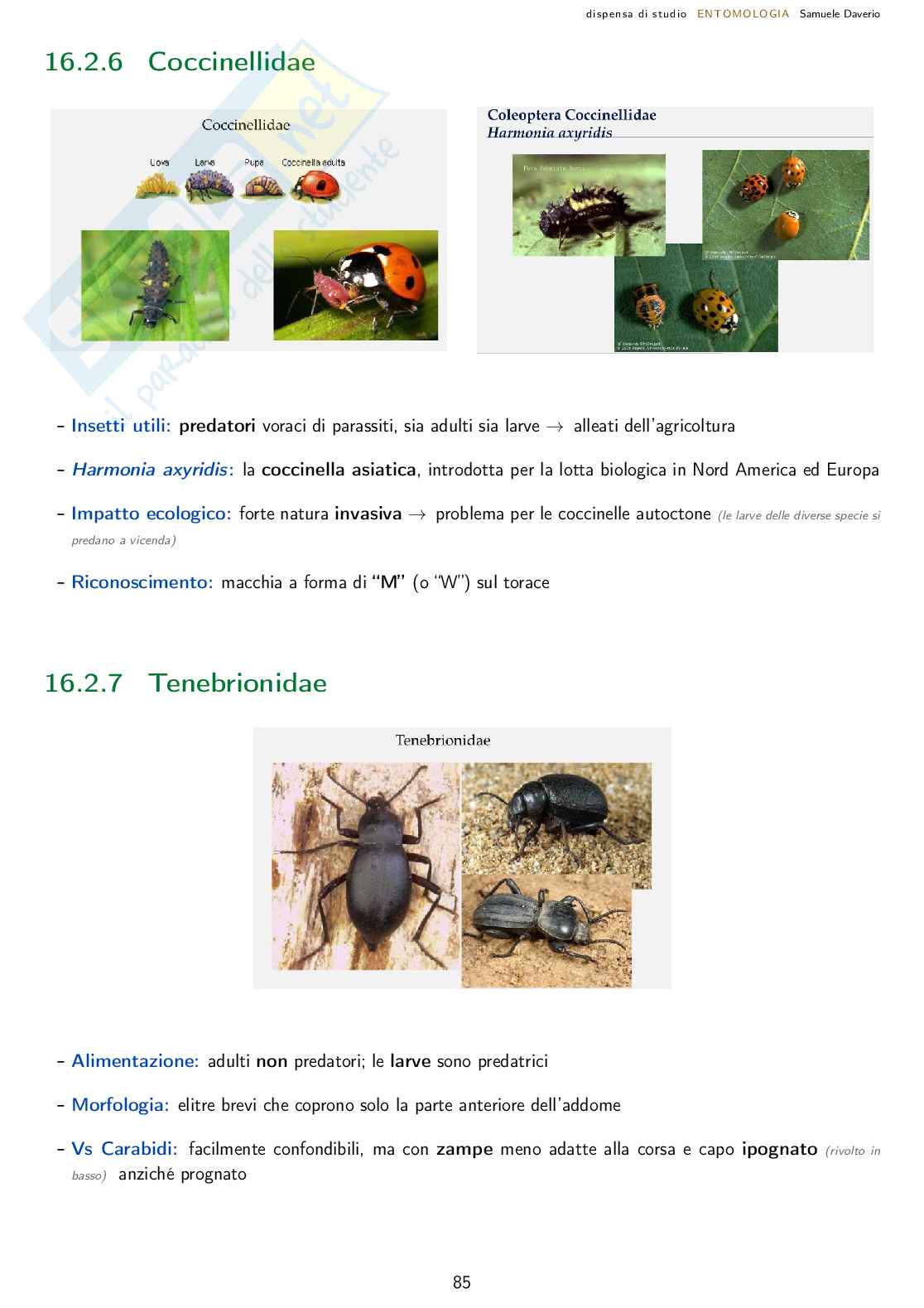 Entomologia agraria - corso completo Pag. 86