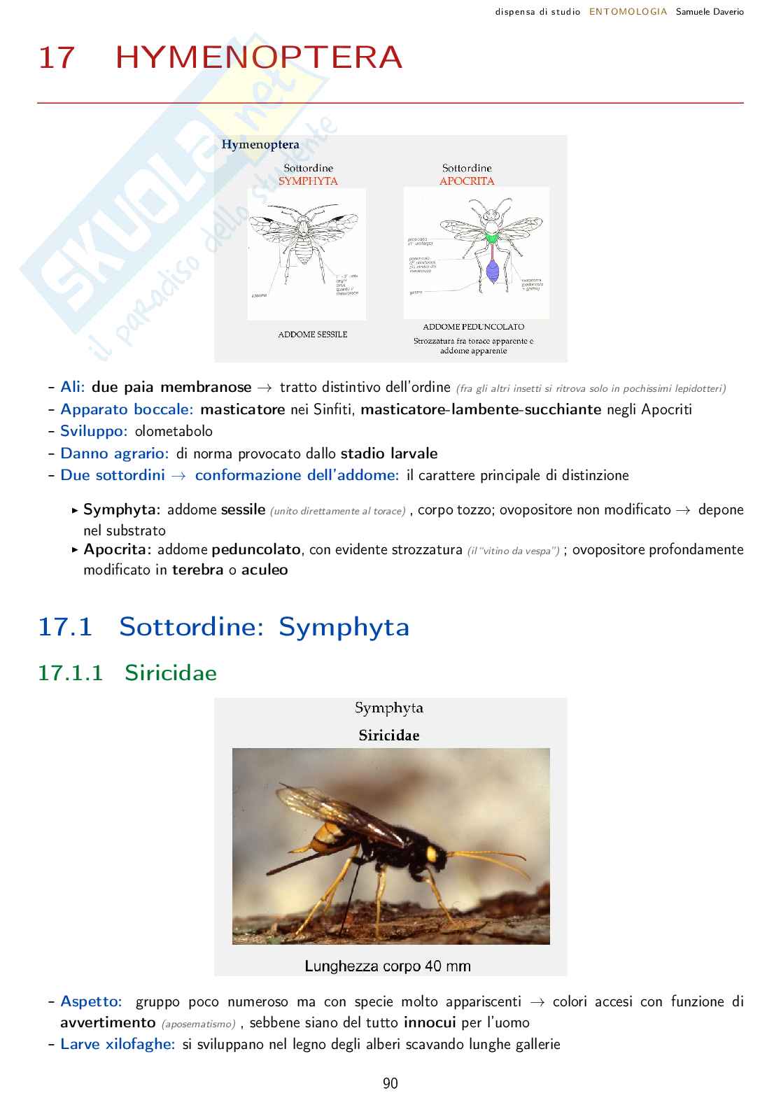 Entomologia agraria - corso completo Pag. 91