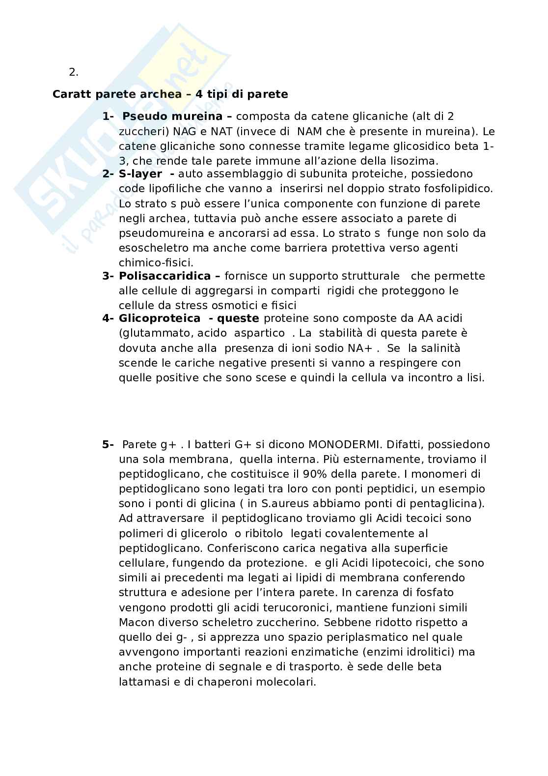 Esercizi e domande prova di Microbiologia Pag. 2