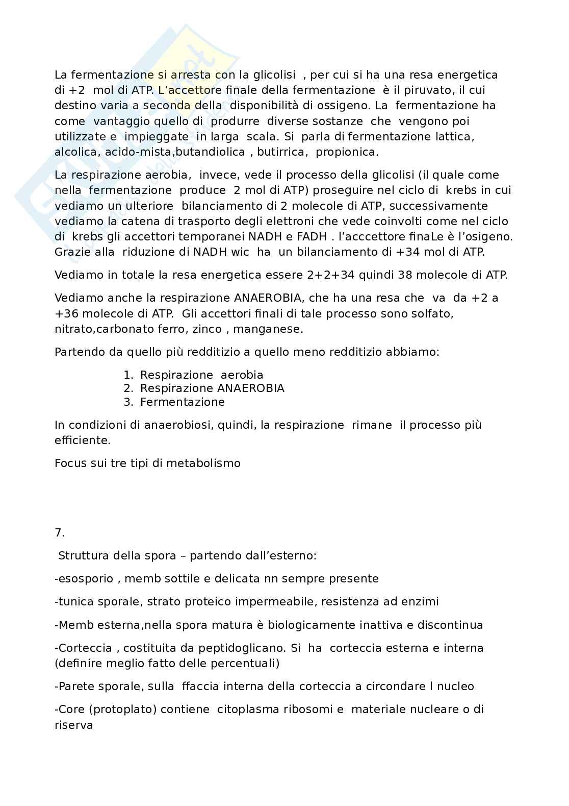 Esercizi e domande prova di Microbiologia Pag. 6