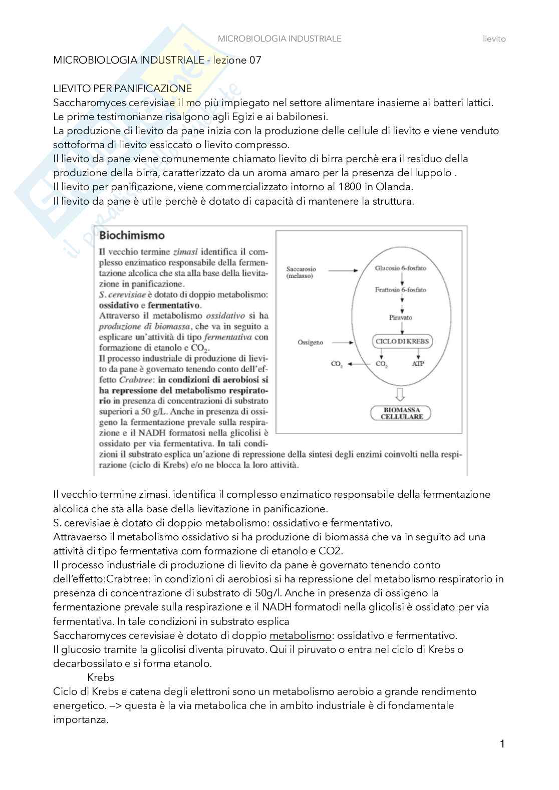 Appunti di Microbiologia Industriale Pag. 46