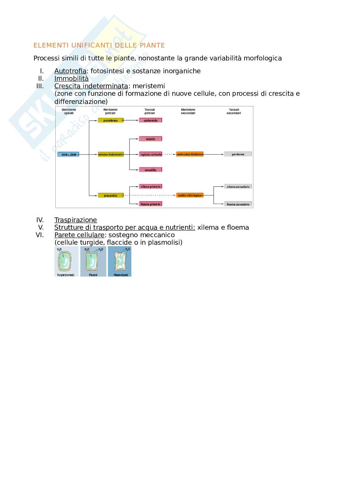 Appunti biologia generale Pag. 2