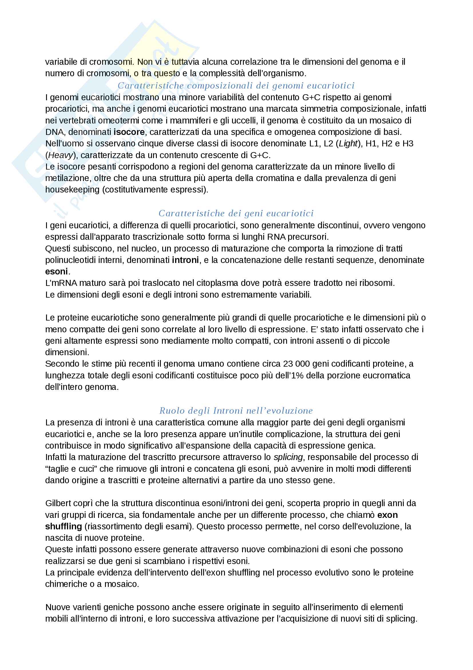 Biologia Molecolare Pag. 16