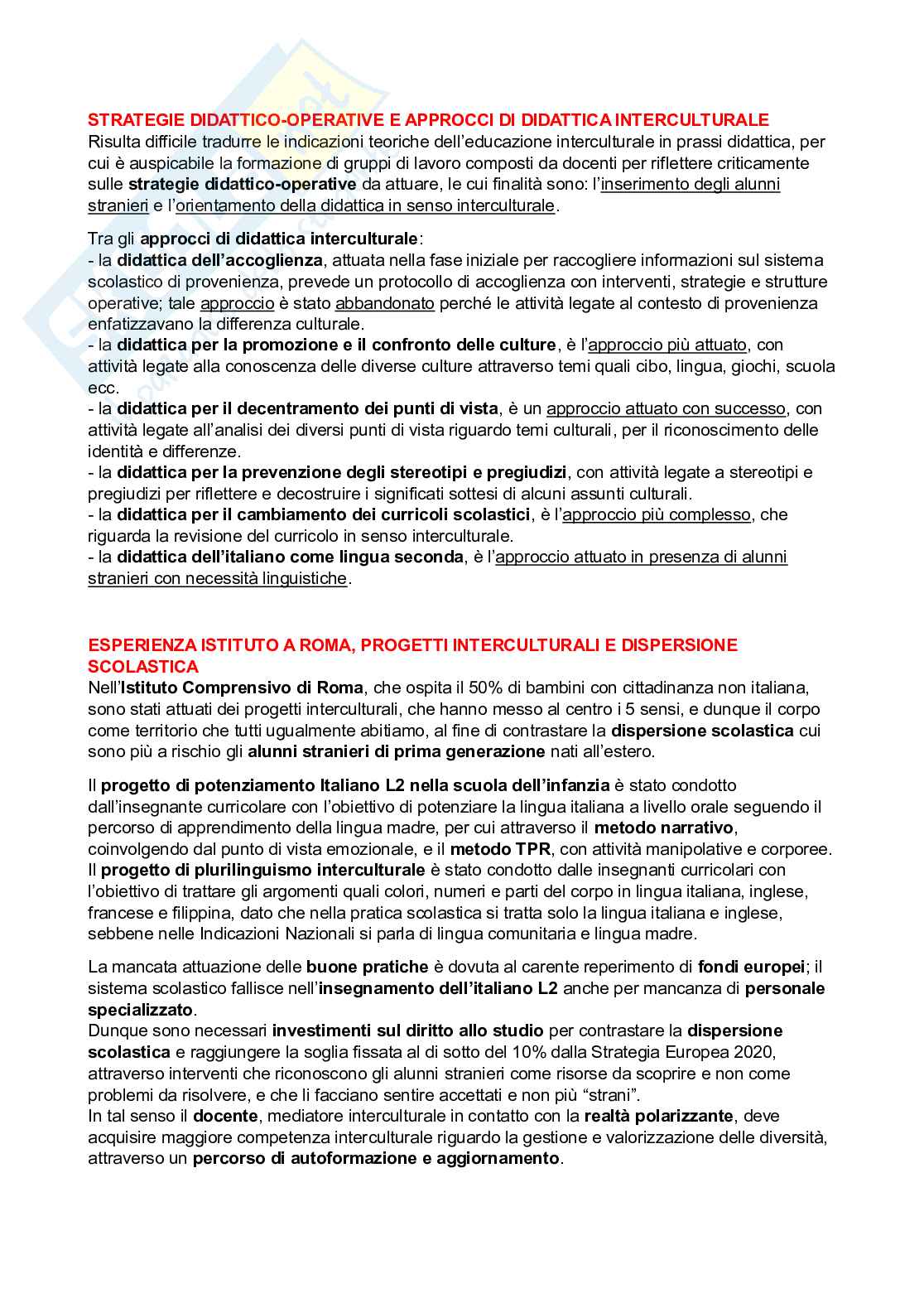 Pedagogia Interculturale (B024373) - Kit completo, appunti e articoli | SFP Notes Vol. 19 Pag. 6