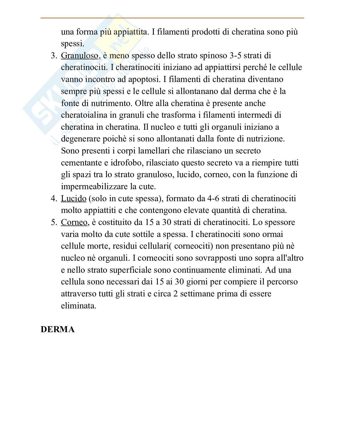 Prima parte appunti di Anatomia Pag. 51