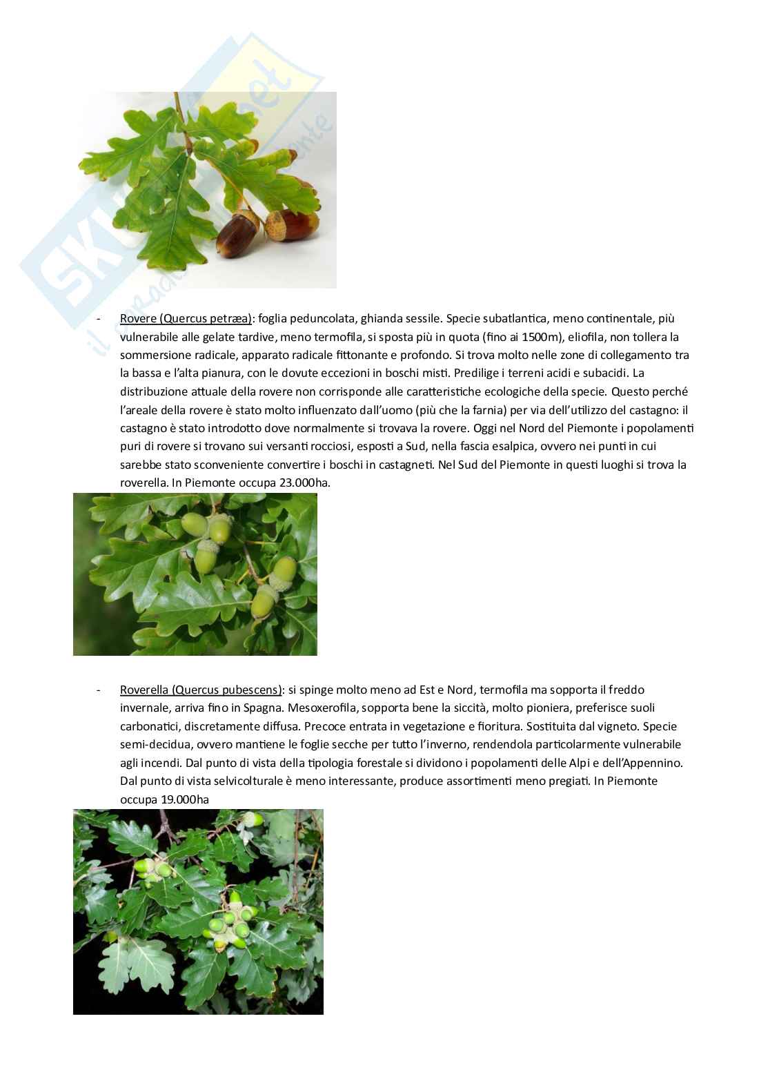 Selvicoltura speciale Pag. 6