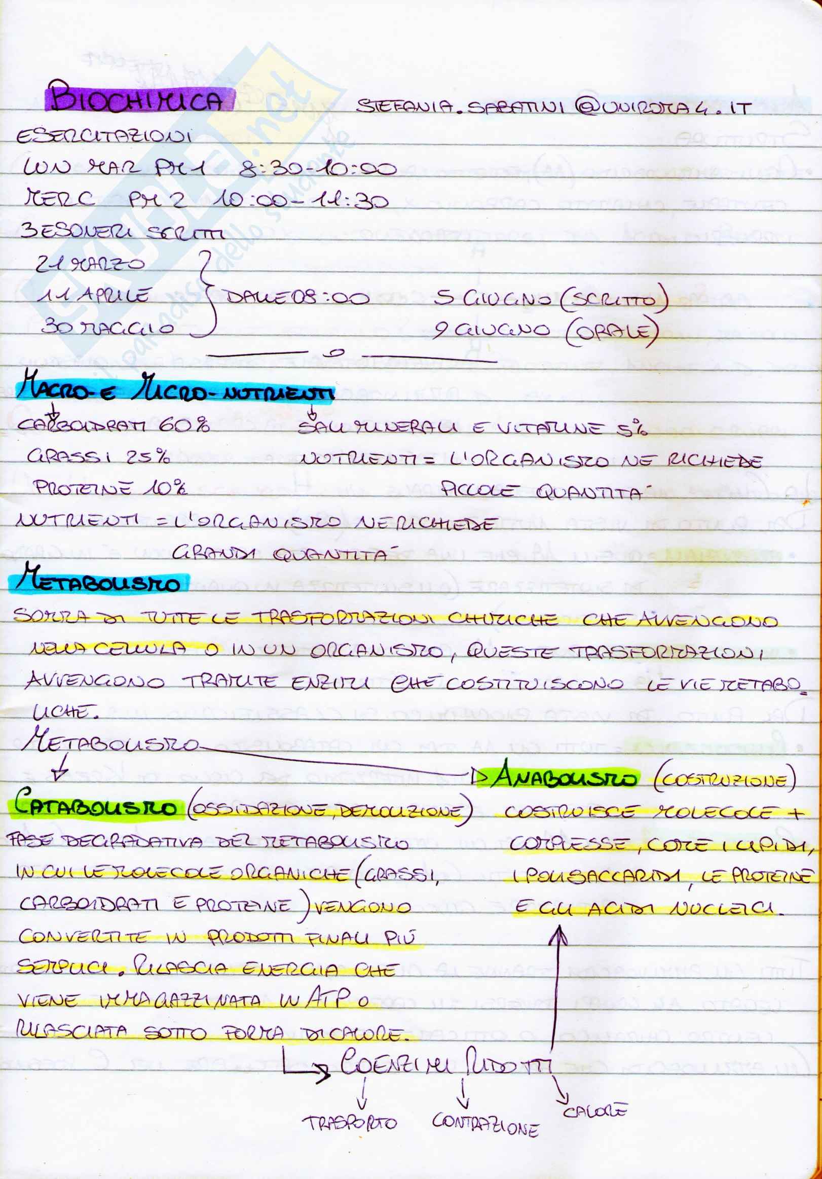 Riassunto esame Biochimica generale e umana, prof. Sabatini, libro consigliato Introduzione alla biochimica di Lehninger Pag. 1