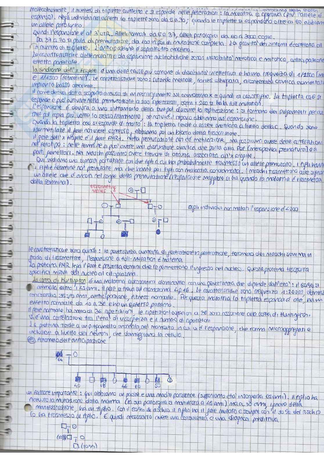 Appunti genetica umana Pag. 21