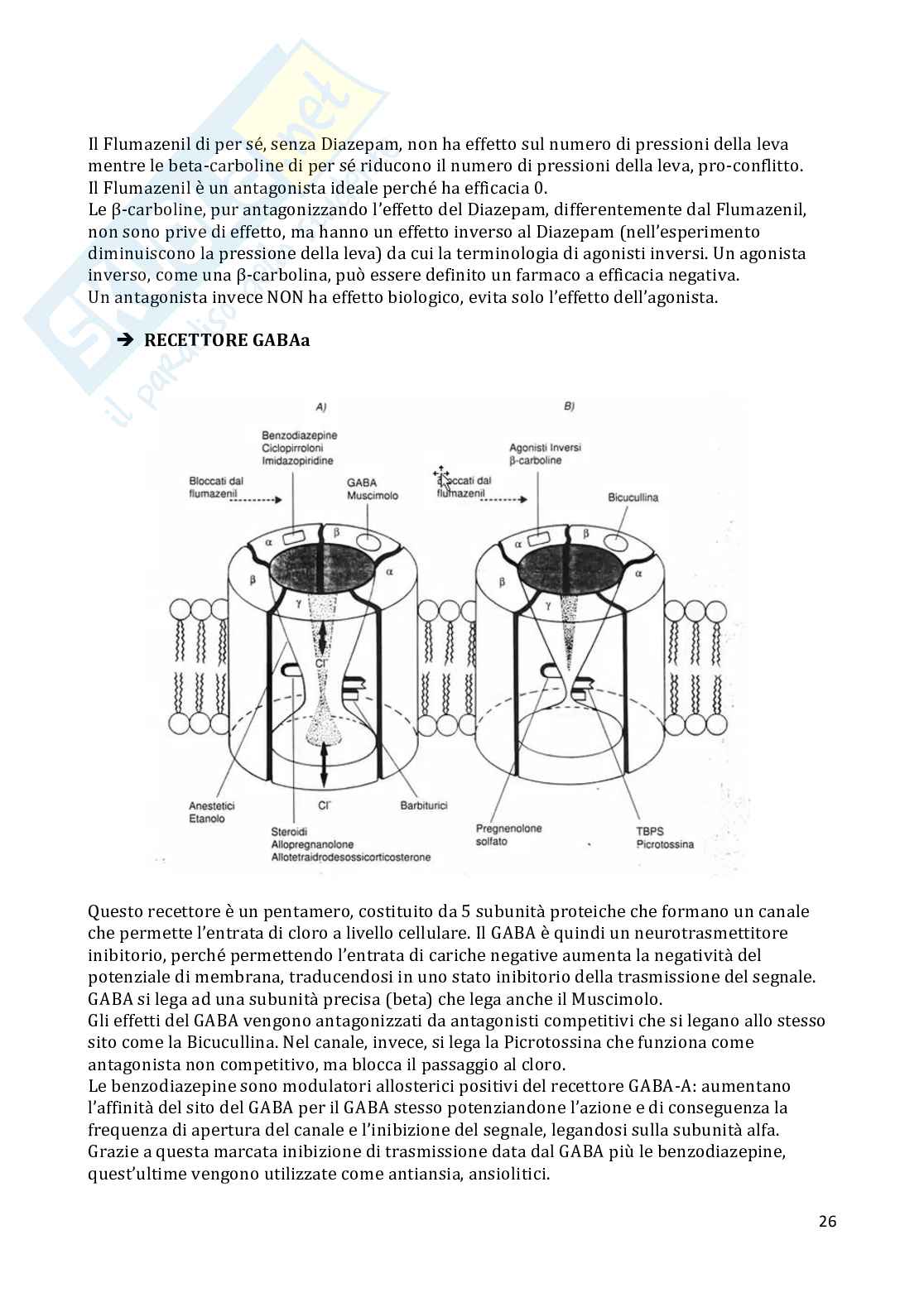 Farmacologia  Pag. 26