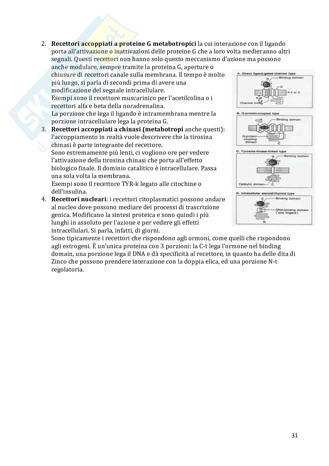 Farmacologia  Pag. 31