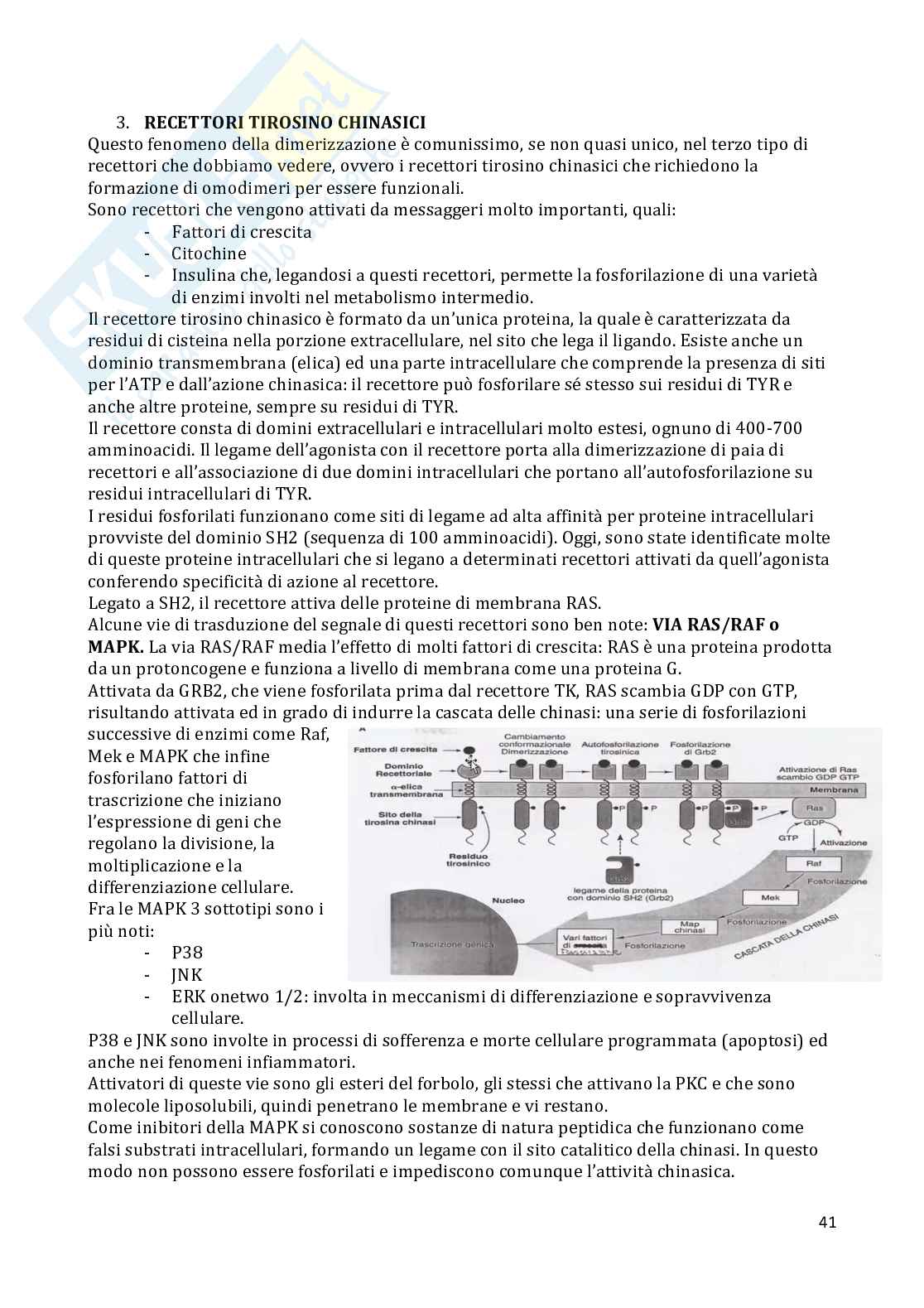 Farmacologia  Pag. 41