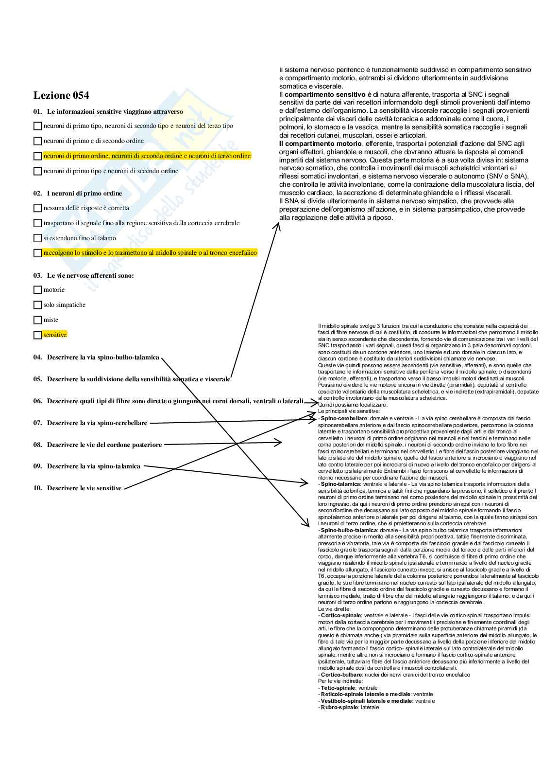 Paniere completo di Anatomia umana - Risposte multiple e aperte - aggiornato (2026) Pag. 46