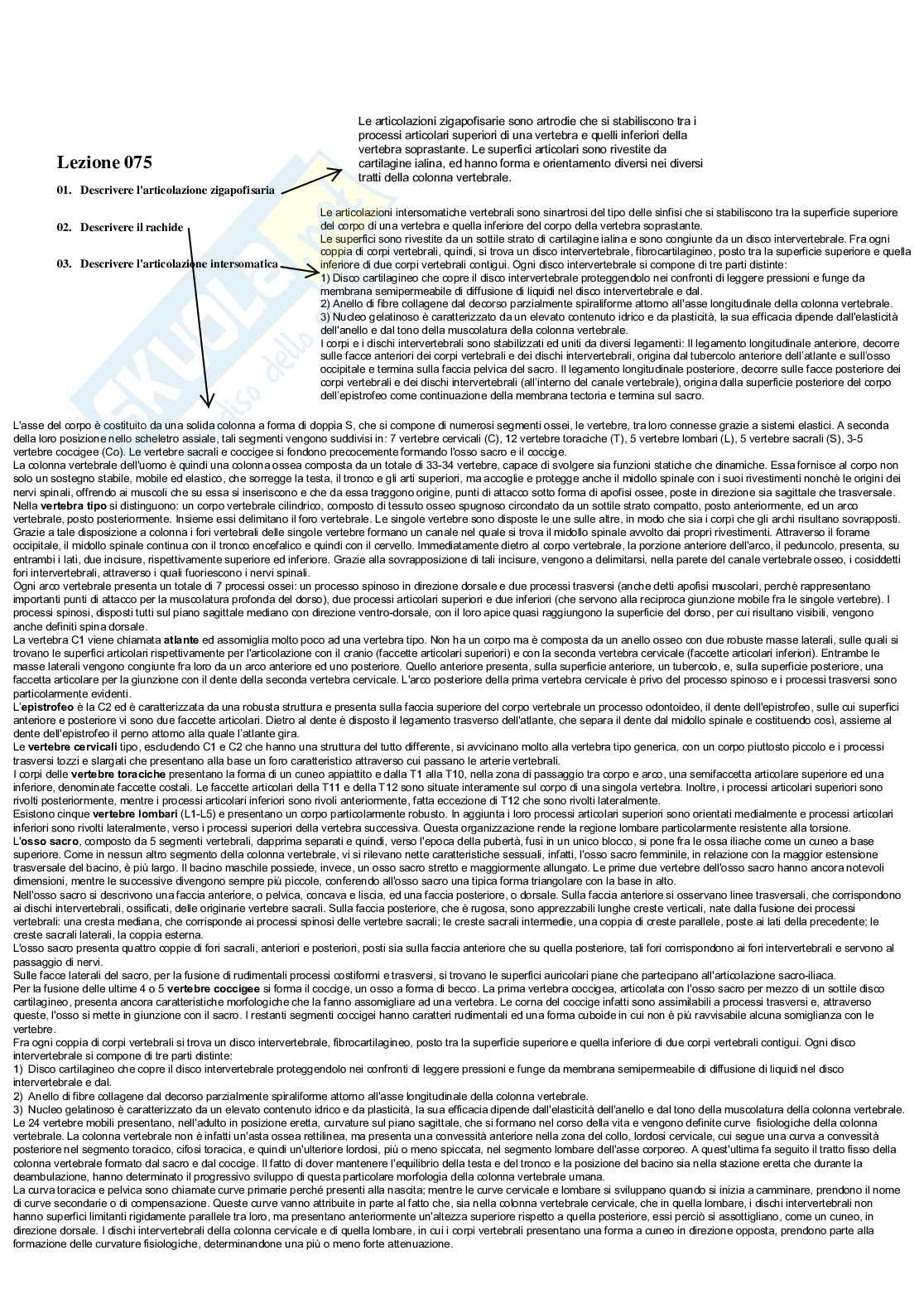Paniere completo di Anatomia umana - Risposte multiple e aperte - aggiornato (2026) Pag. 66