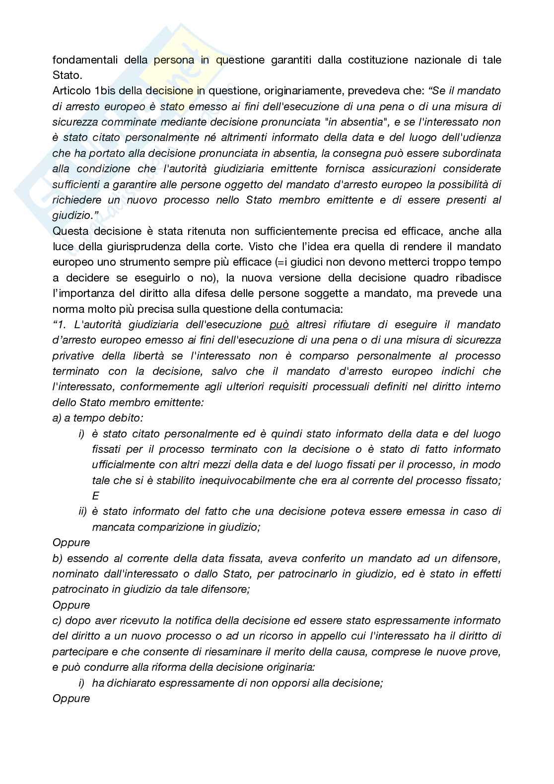 Appunti completi Tutela dei diritti umani Pag. 46