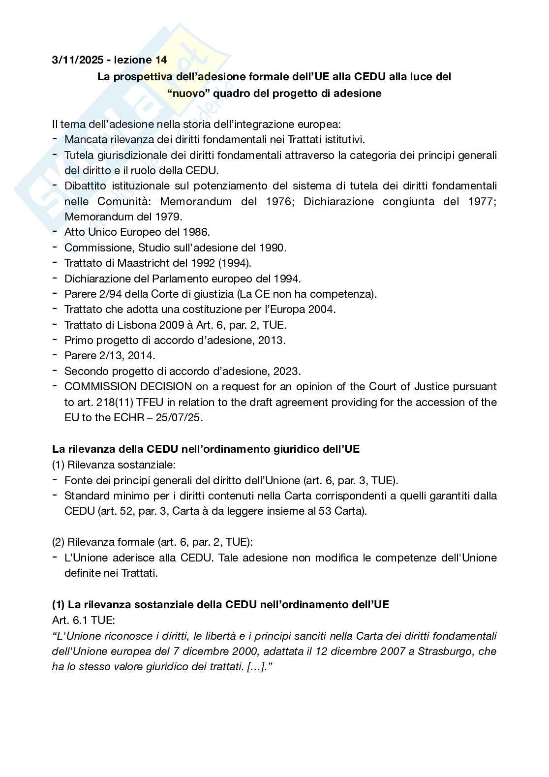 Appunti completi Tutela dei diritti umani Pag. 61