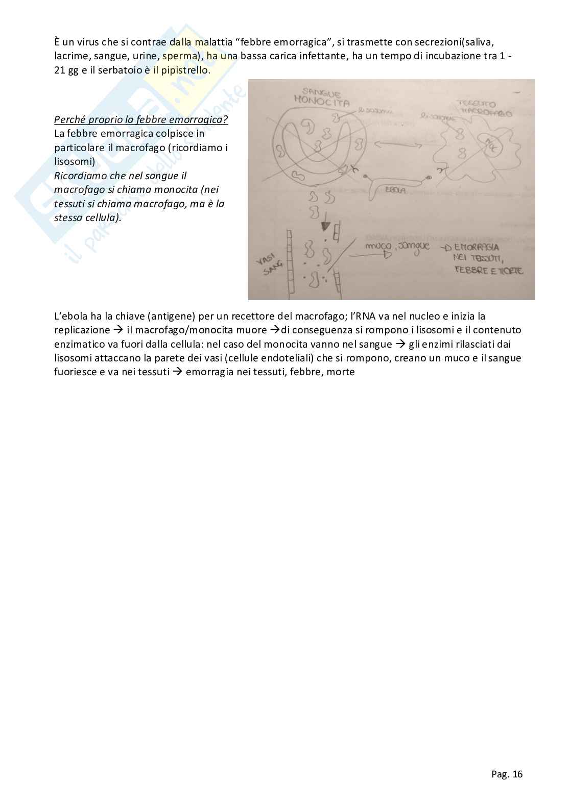 Patologia generale Pag. 16