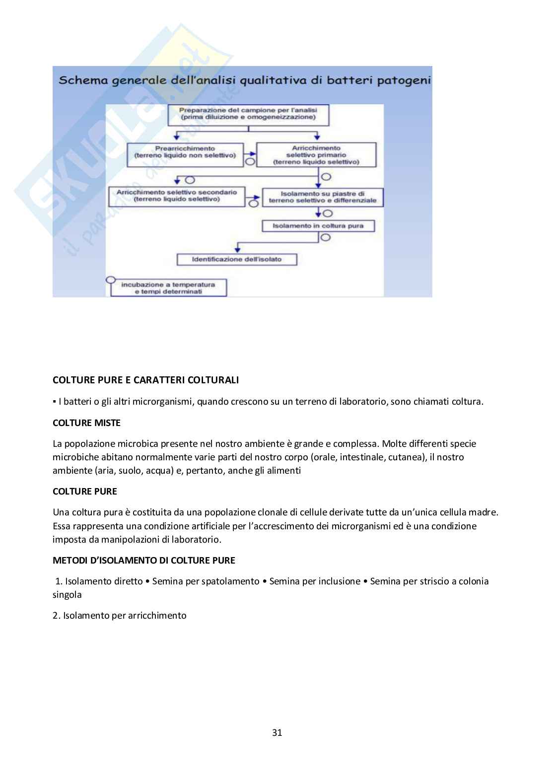 Appunti di Microbiologia generale Pag. 31