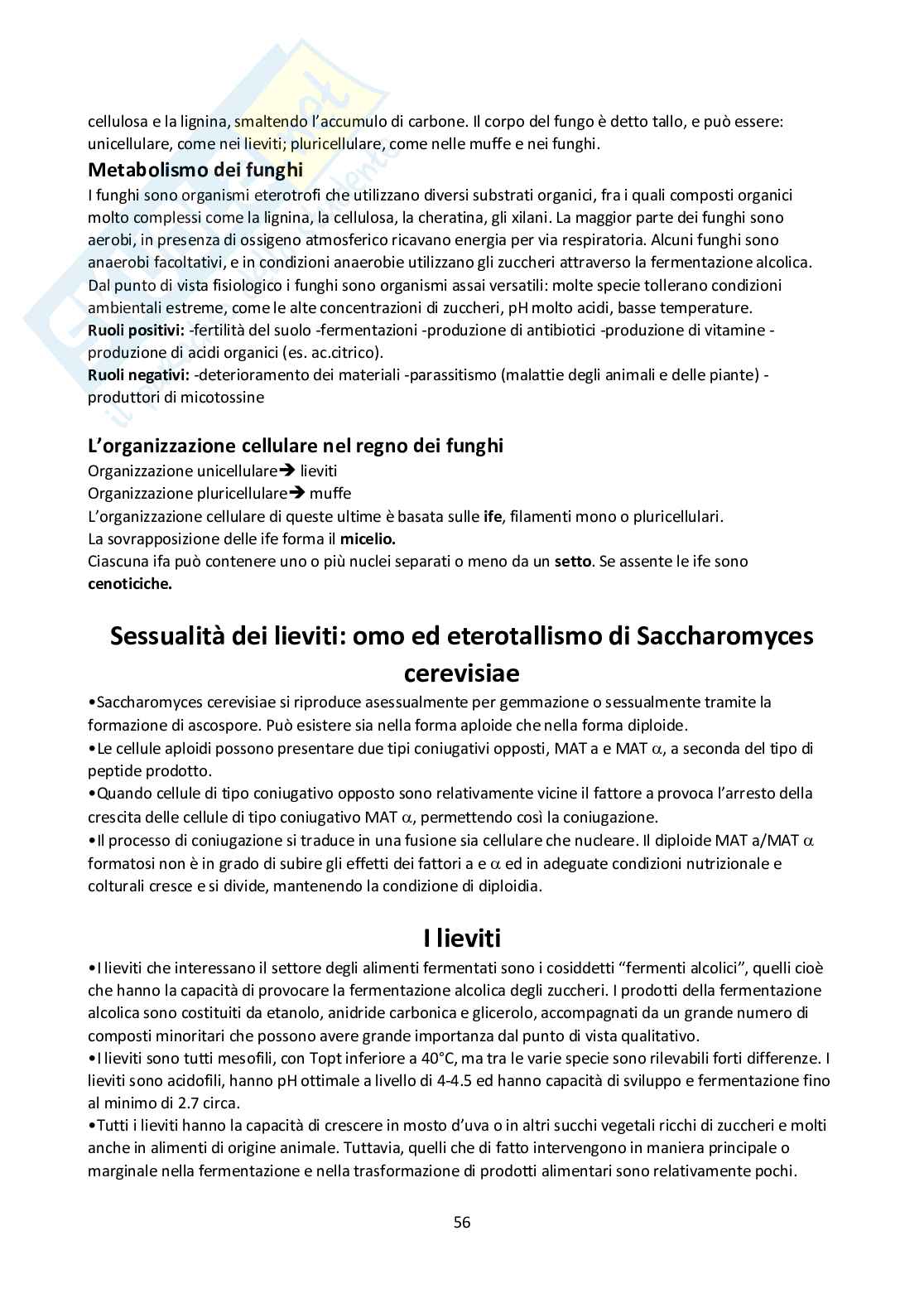 Appunti di Microbiologia generale Pag. 56