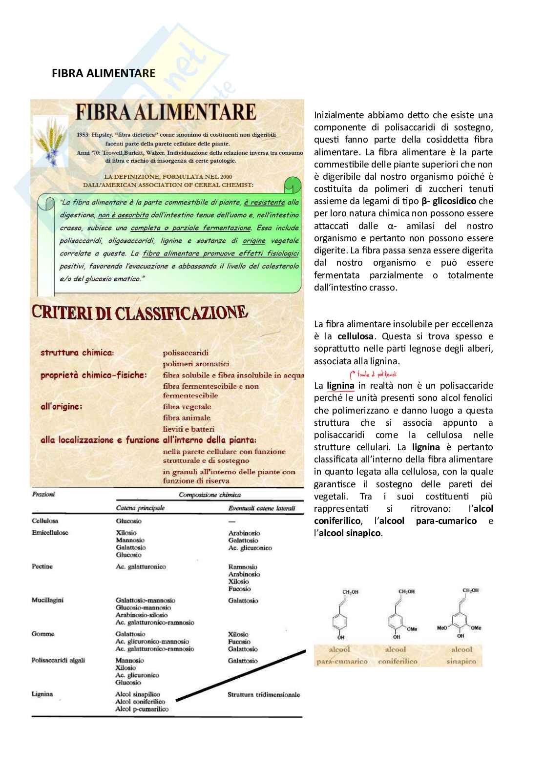 Fibra alimentare Pag. 1