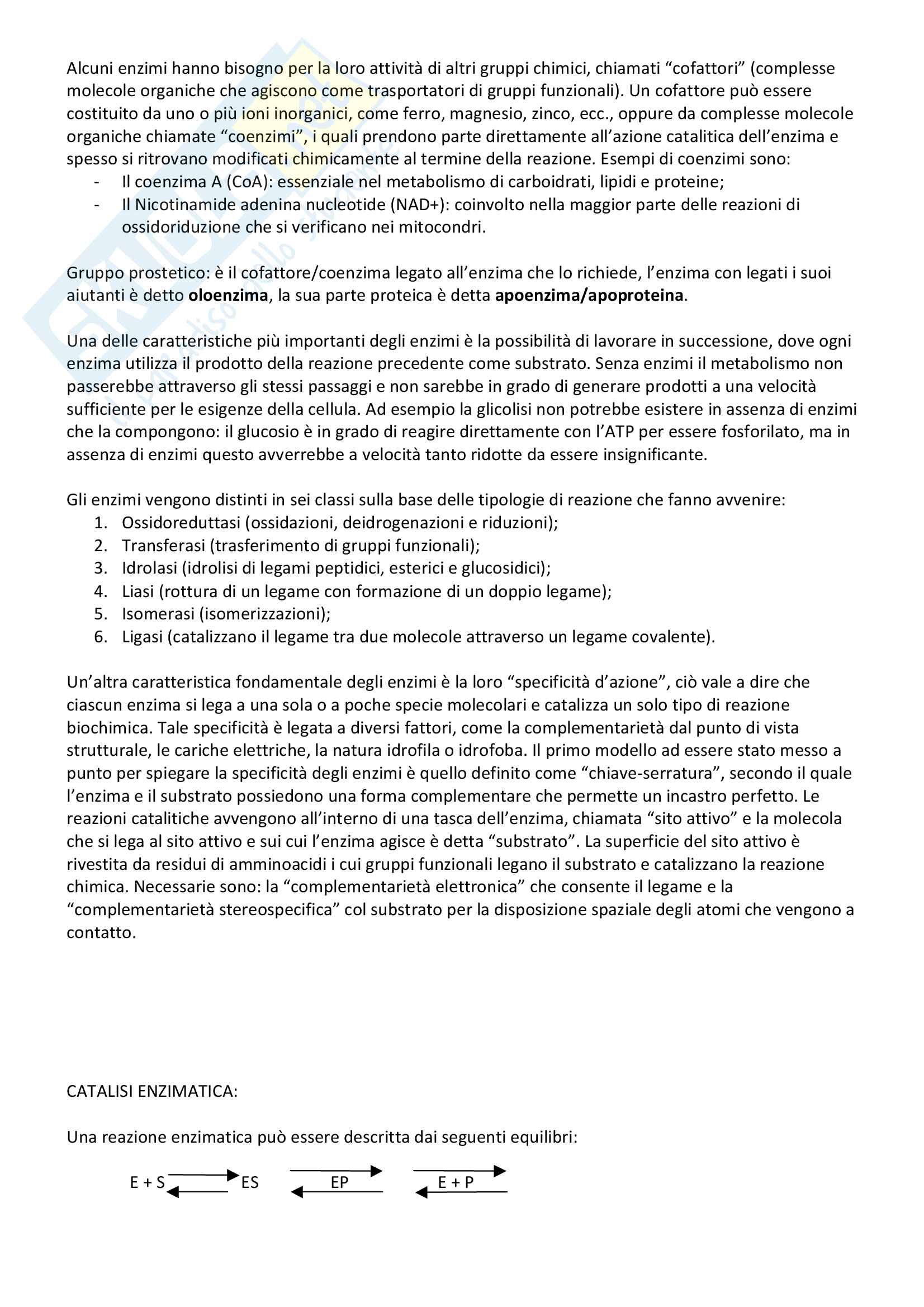 Biochimica 1 Pag. 11