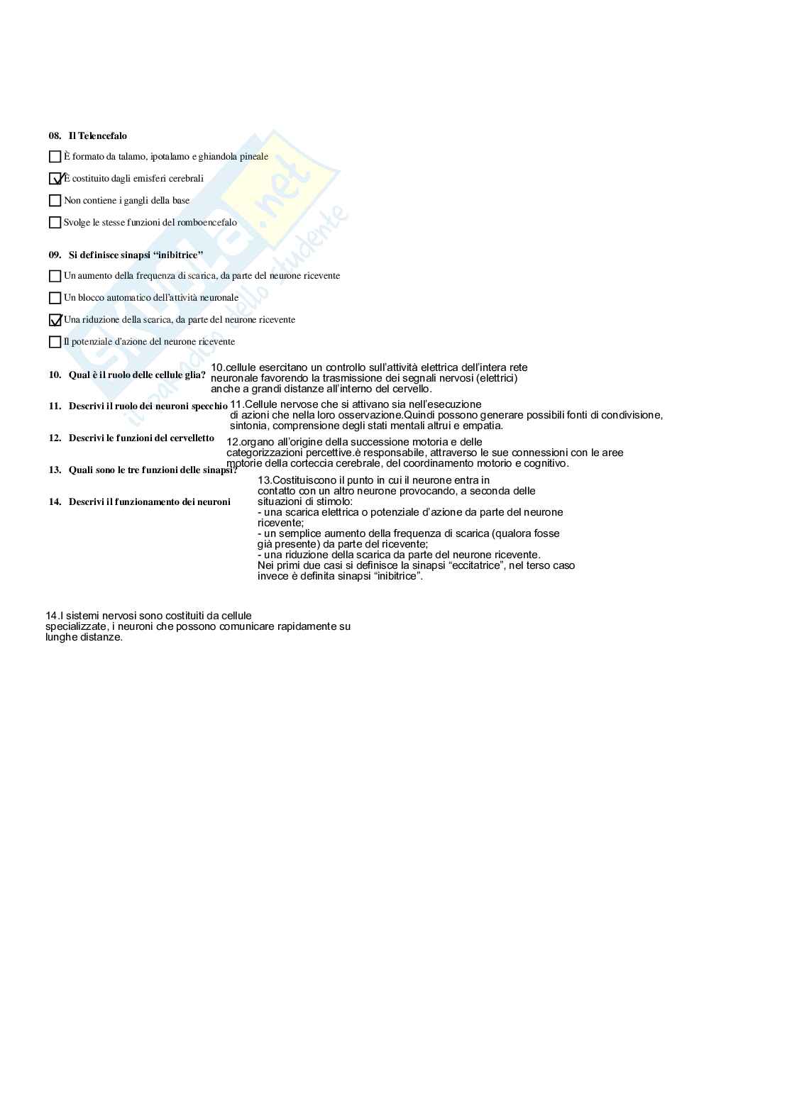 Paniere Completo di Didattica e pedagogia speciale (2026) - Risposte multiple e aperte corrette Pag. 31