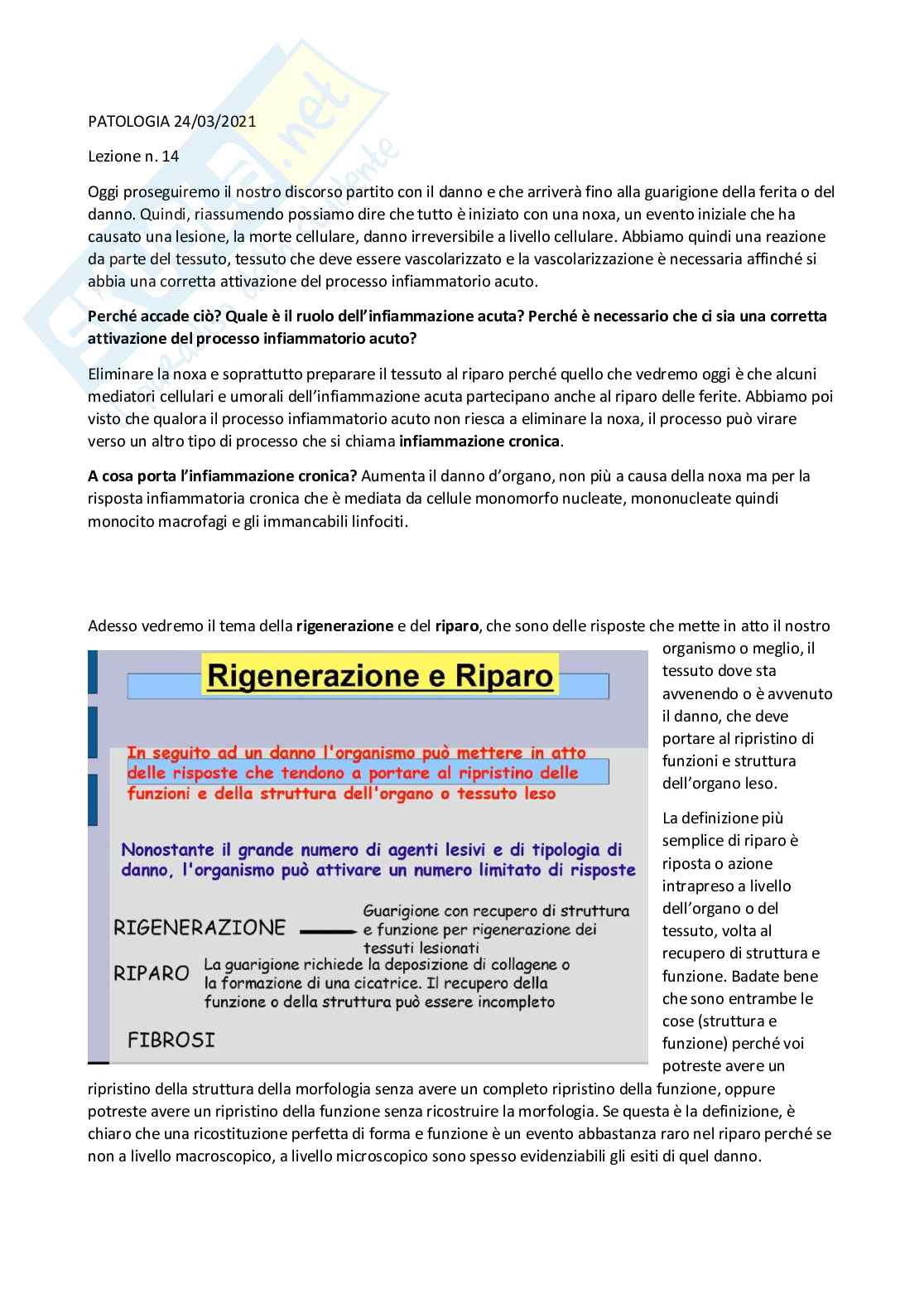 Patologia generale e fondamenti di fisiopatologia - parte 3 Pag. 1