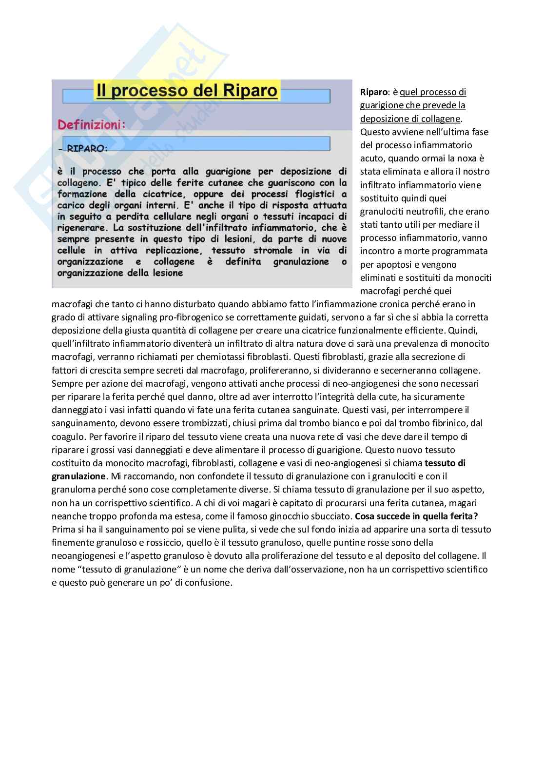 Patologia generale e fondamenti di fisiopatologia - parte 3 Pag. 6