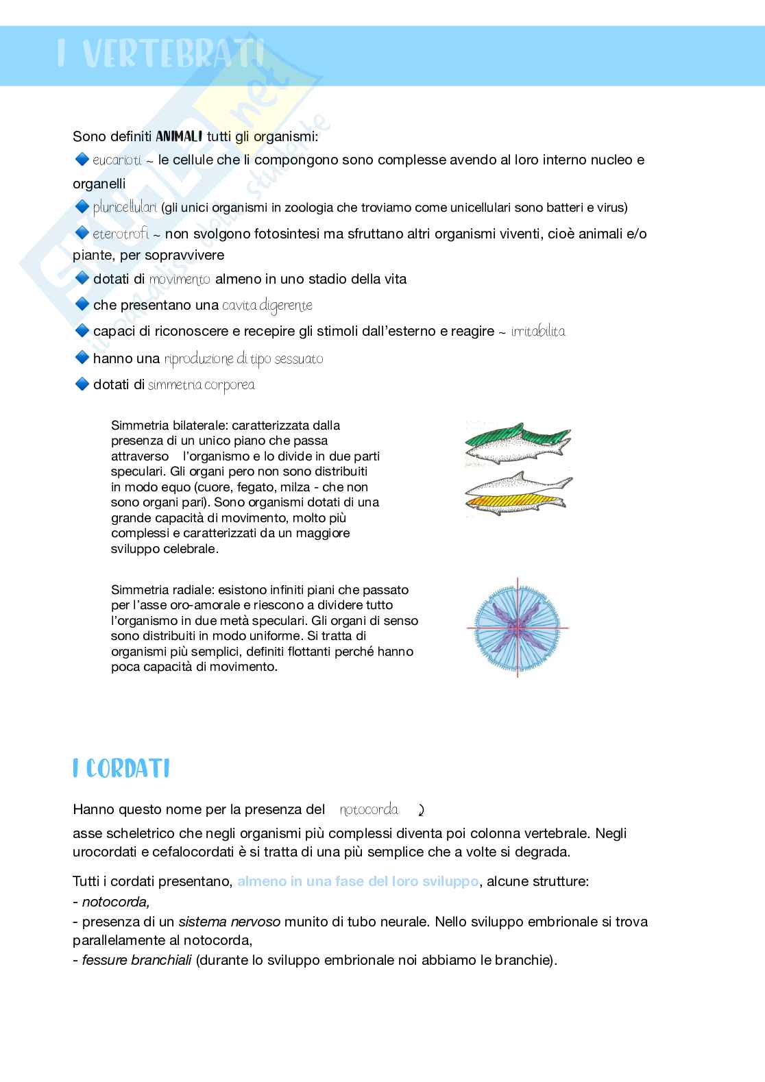 Zoologia 2 Pag. 11